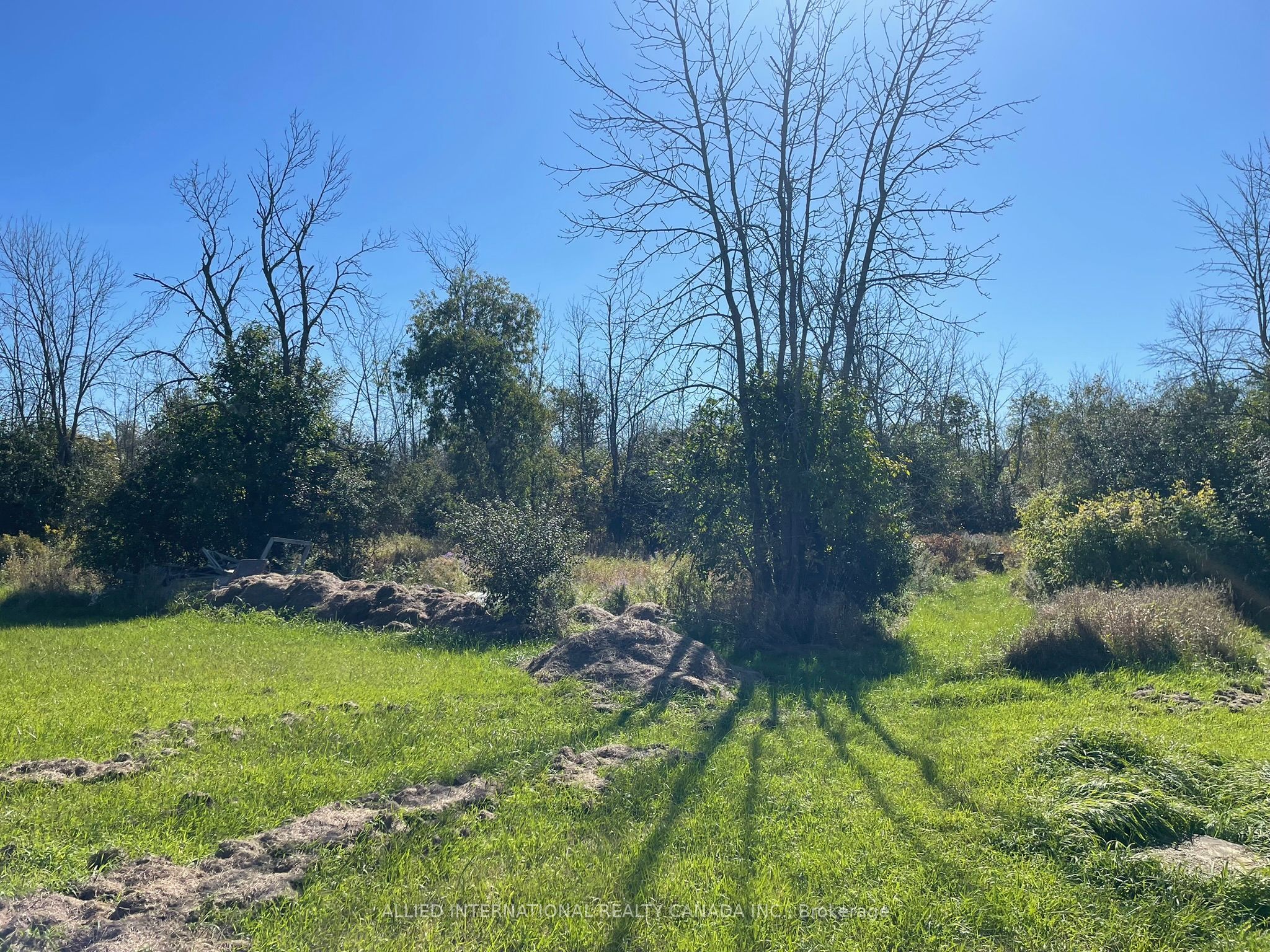 537 Burr Road Property Photo 35