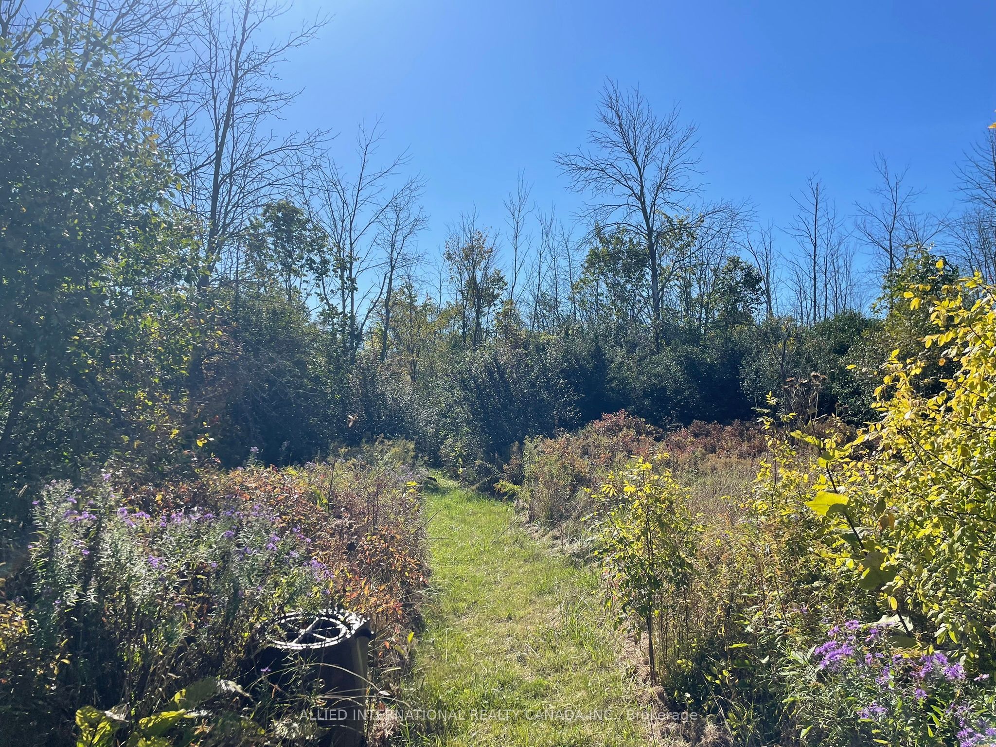 537 Burr Road Property Photo 36