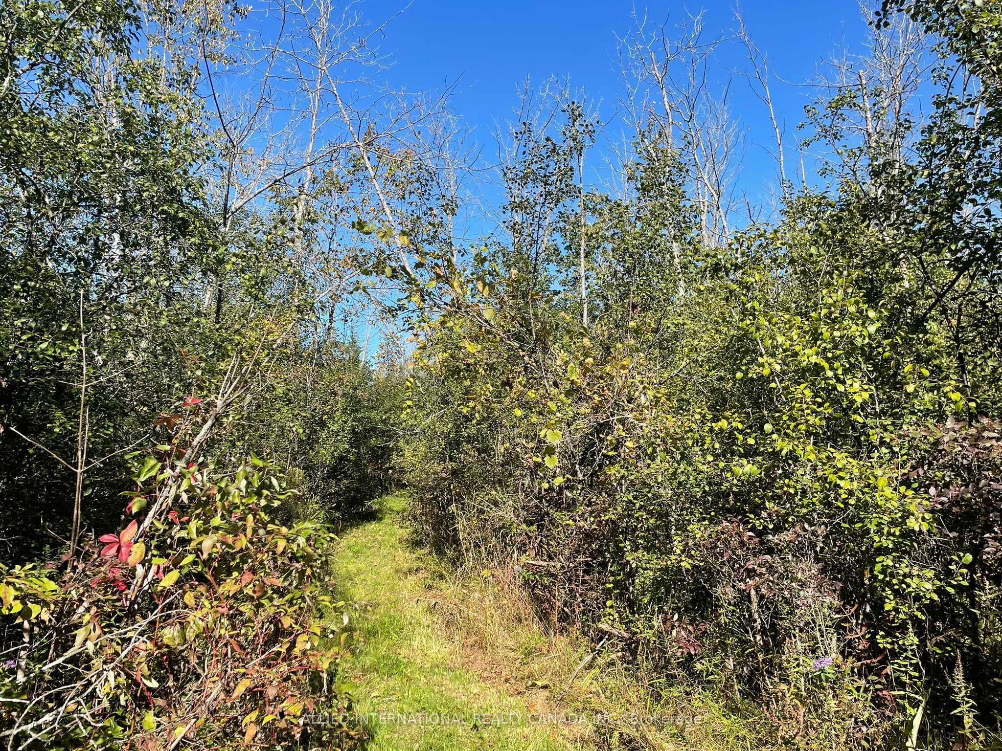 537 Burr Road Property Photo 37