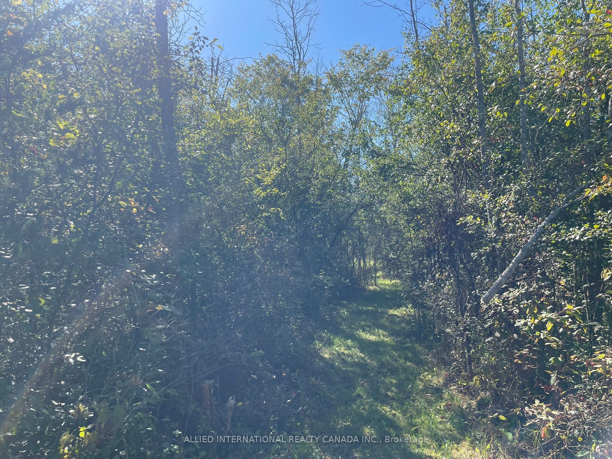 537 Burr Road Property Photo 38
