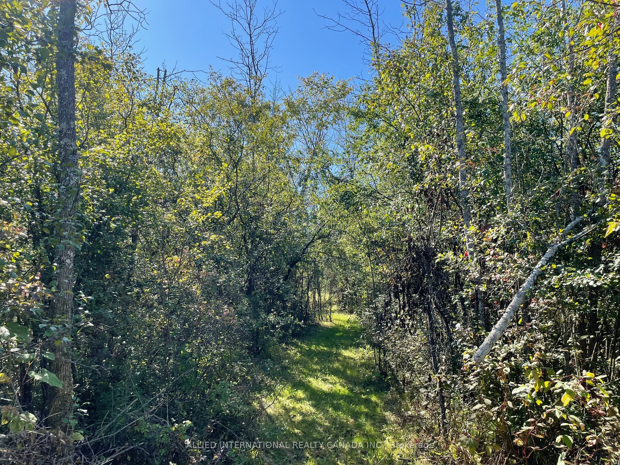 537 Burr Road Property Photo 40