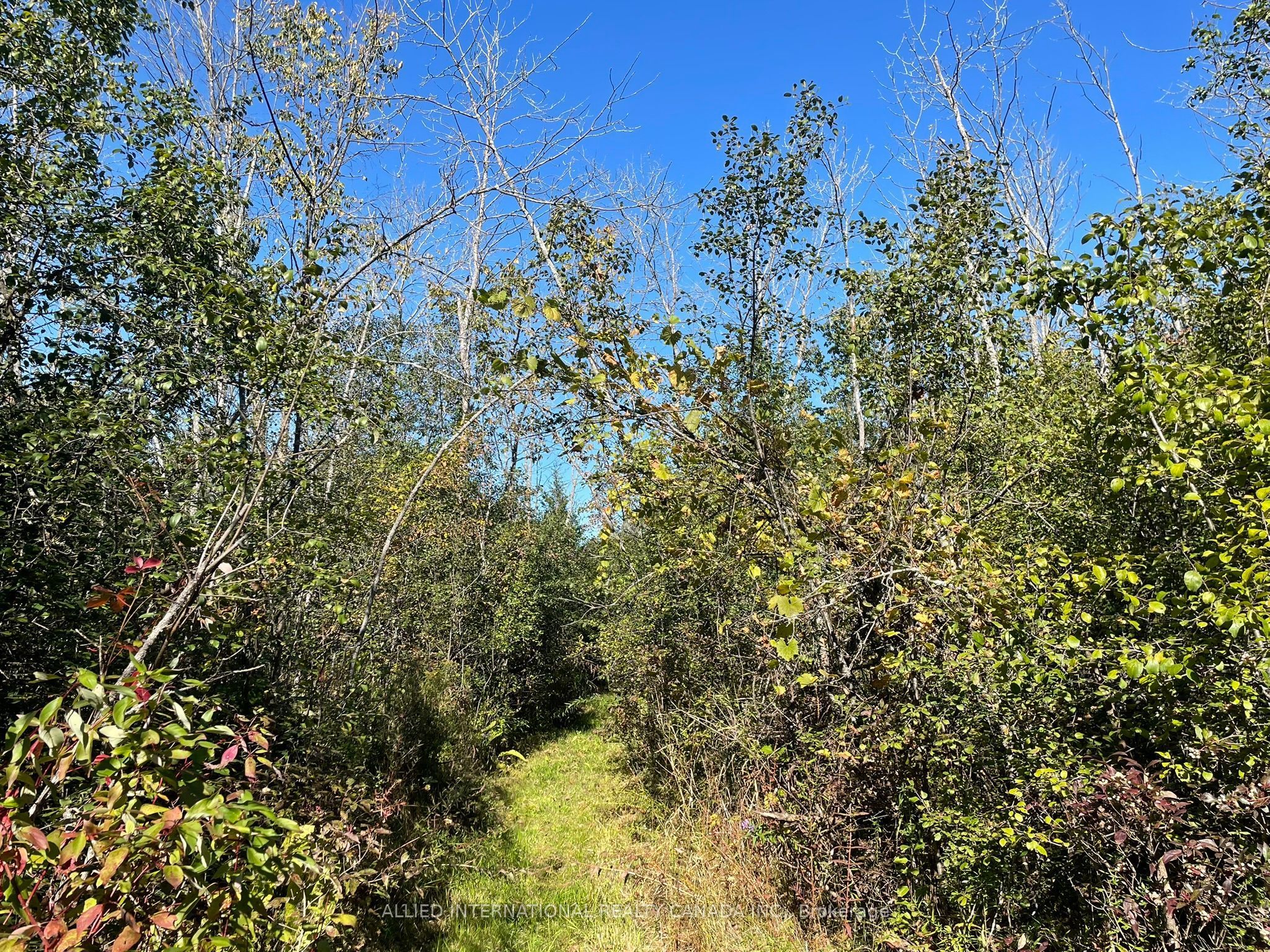 537 Burr Road Property Photo 41