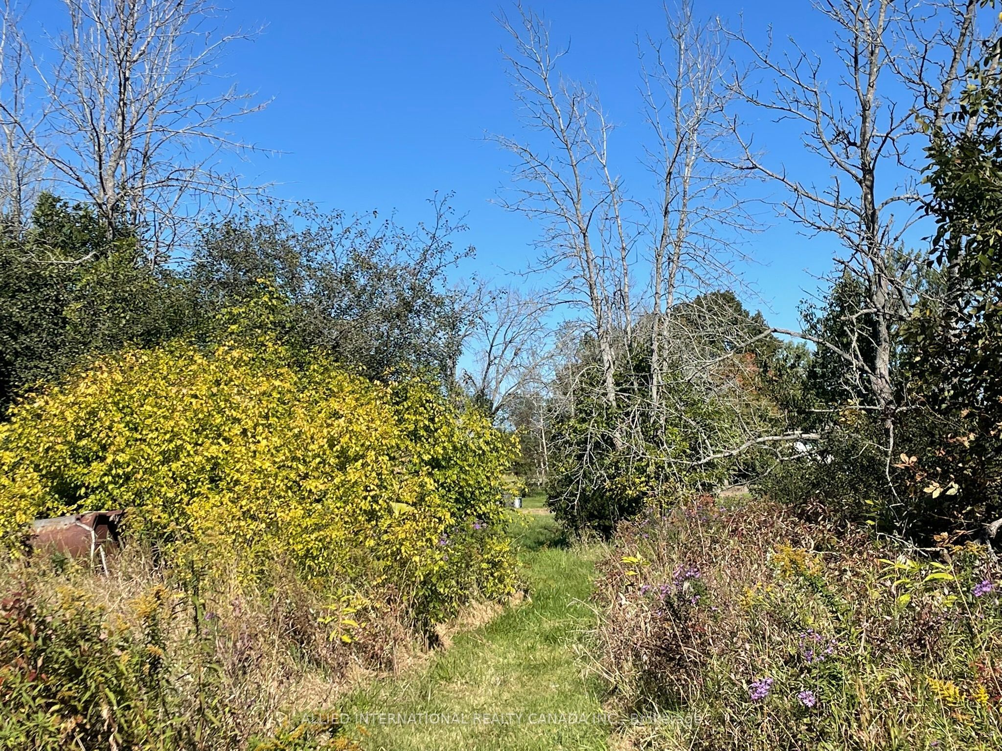 537 Burr Road Property Photo 43
