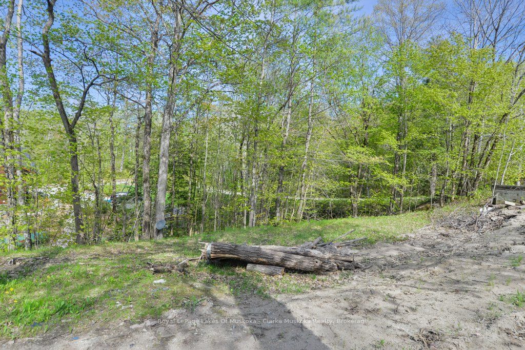 482 Kings Farm Road Property Photo 8