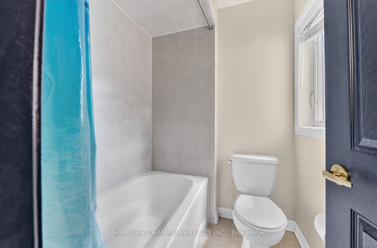 154 Humphrey Street Property Photo 42