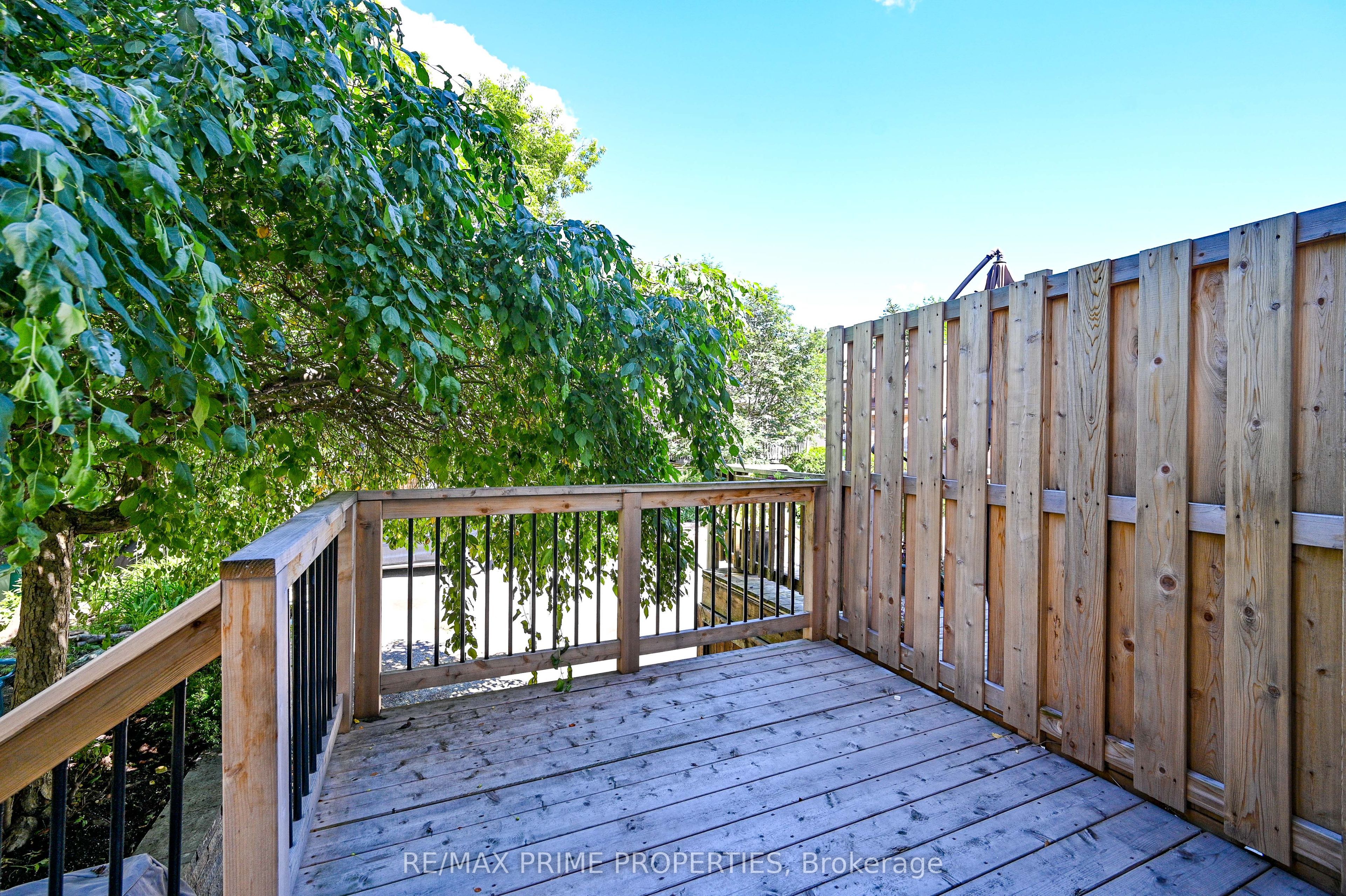 115 Havelock Street Property Photo 42