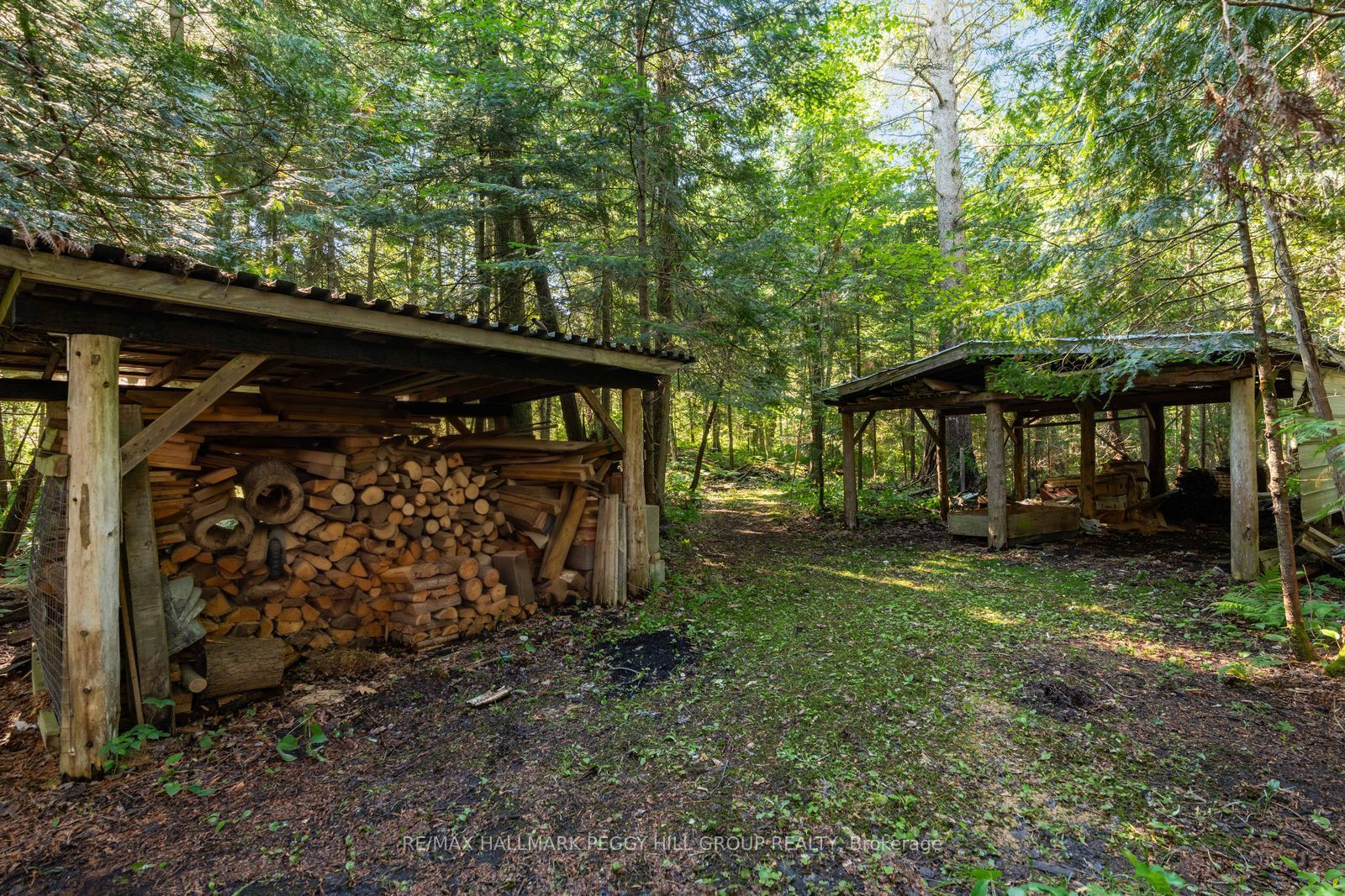 157 Baxter Loop Road Property Photo 16