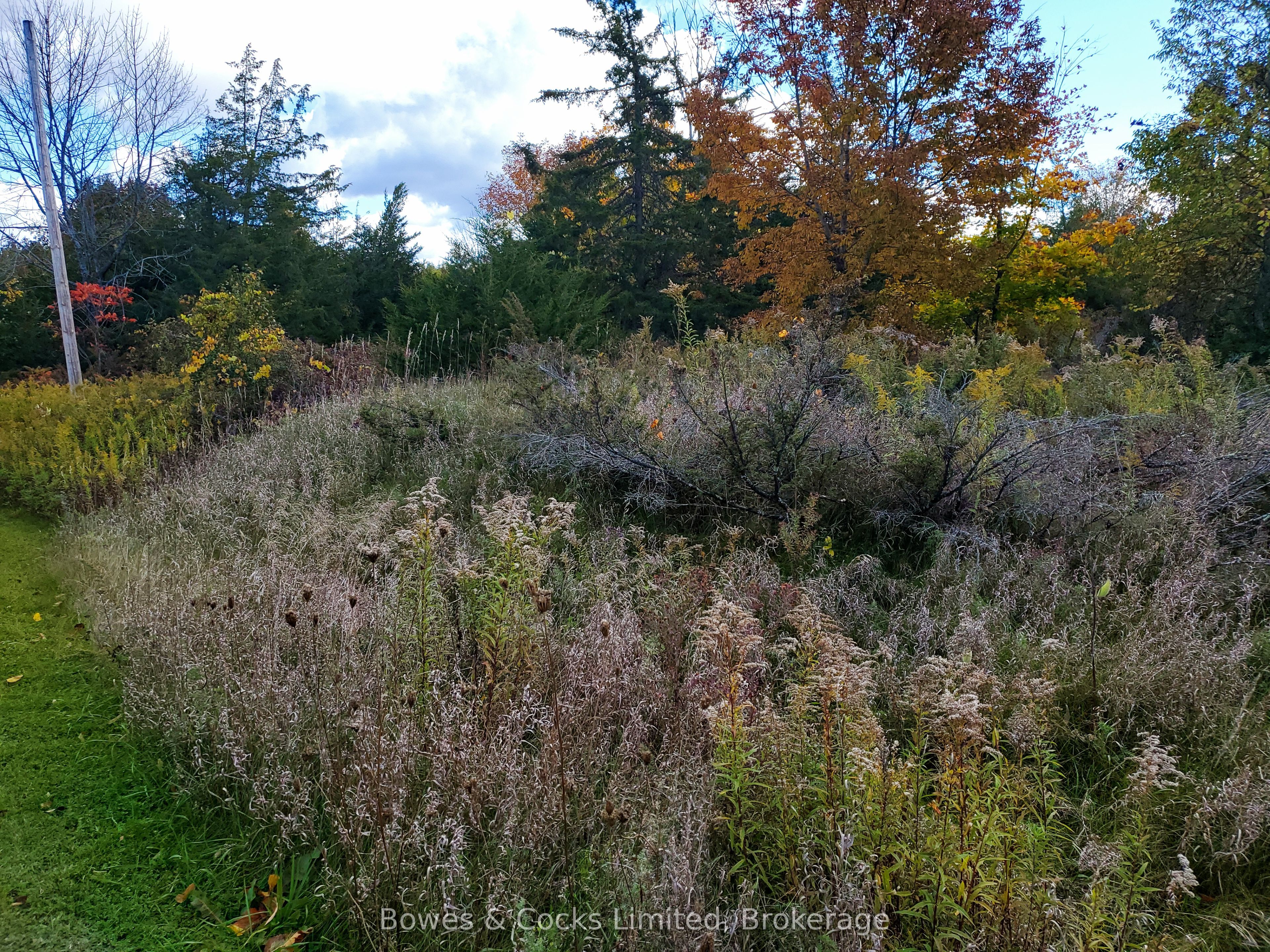 Lot 12 Lakeview Drive Property Photo 9