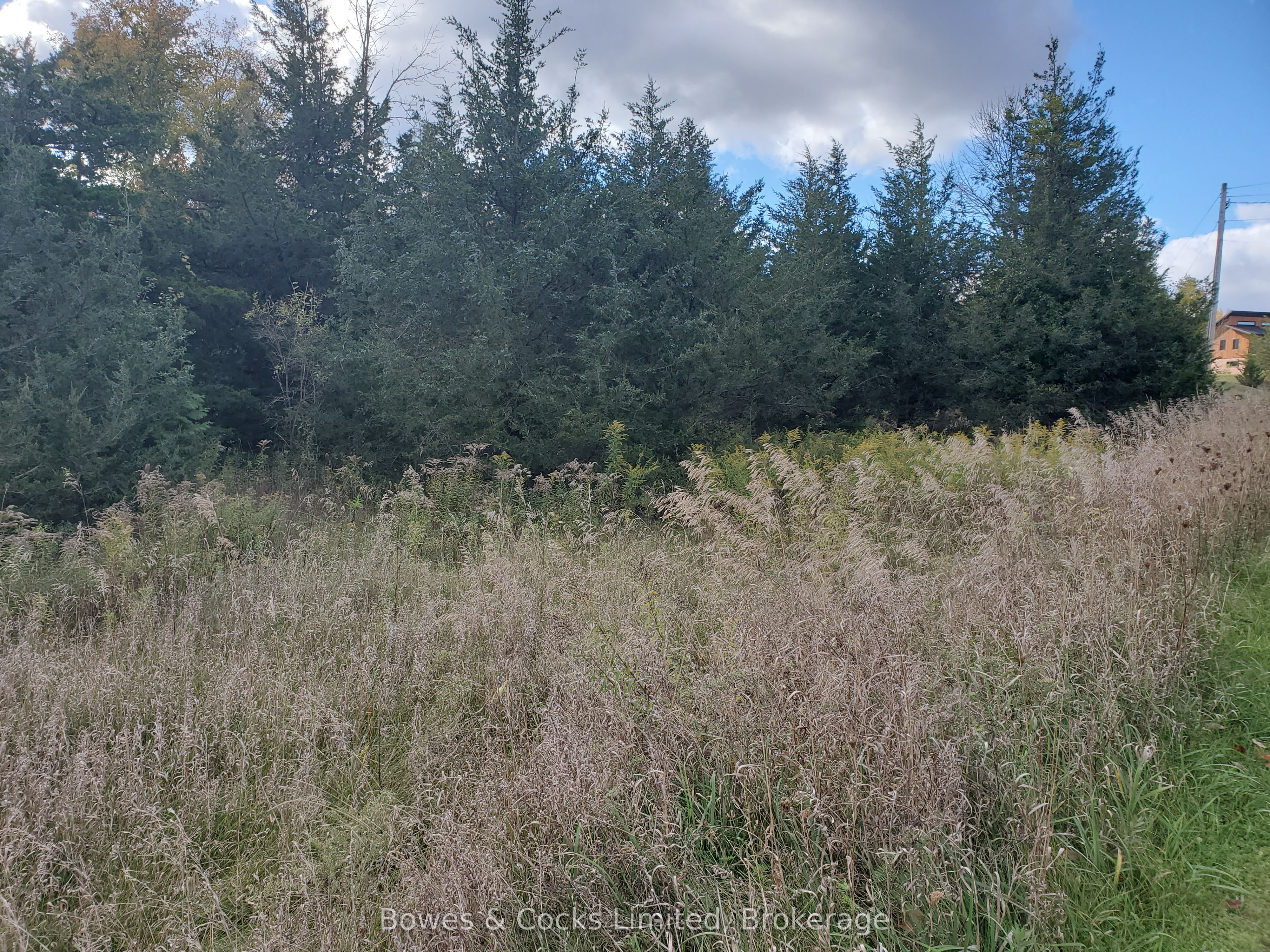 Lot 12 Lakeview Drive Property Photo 10