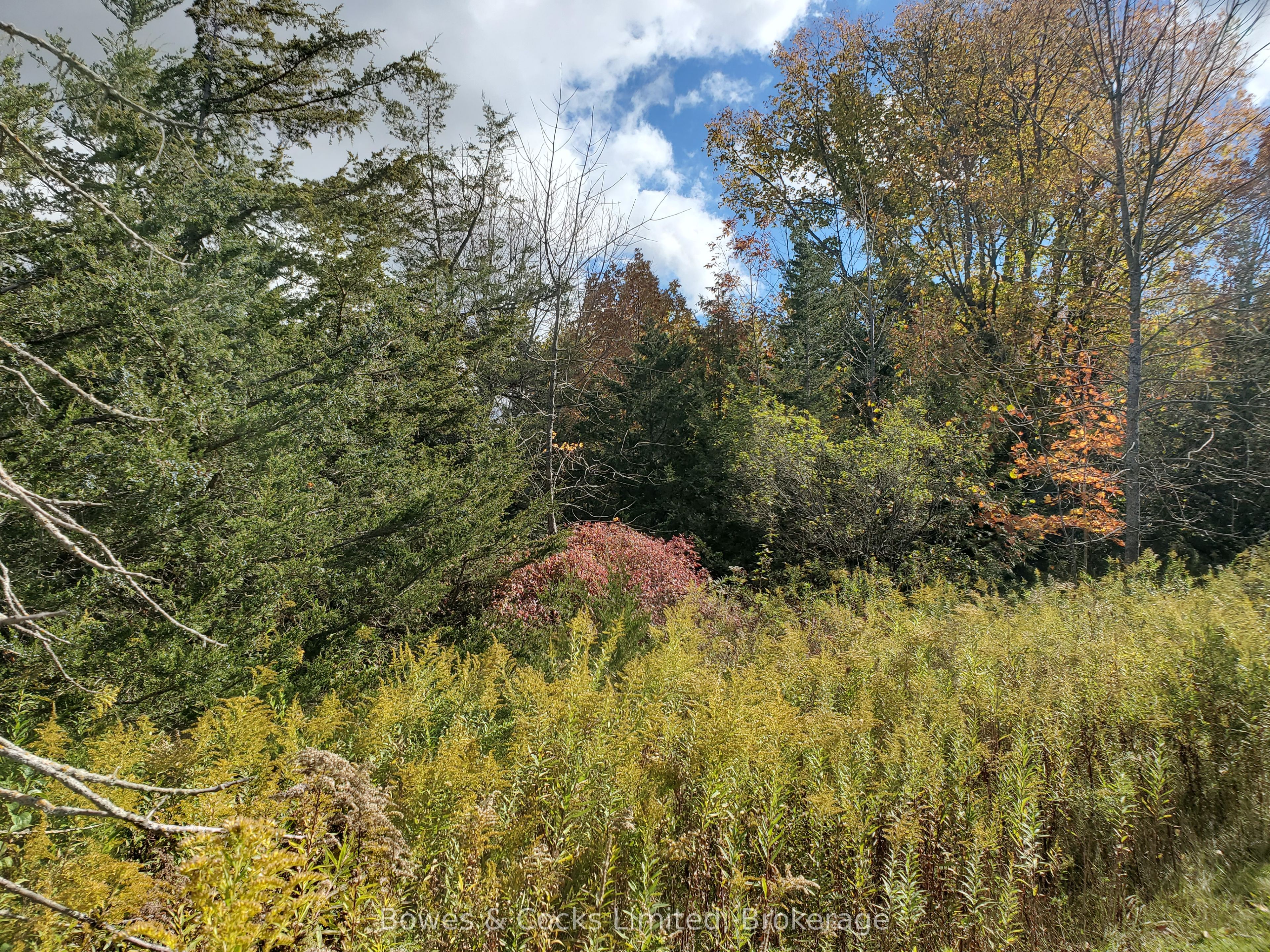 Lot 12 Lakeview Drive Property Photo 12
