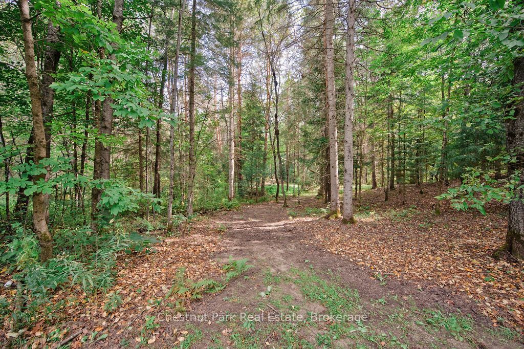 123 East Waseosa Lk Road Property Photo 44