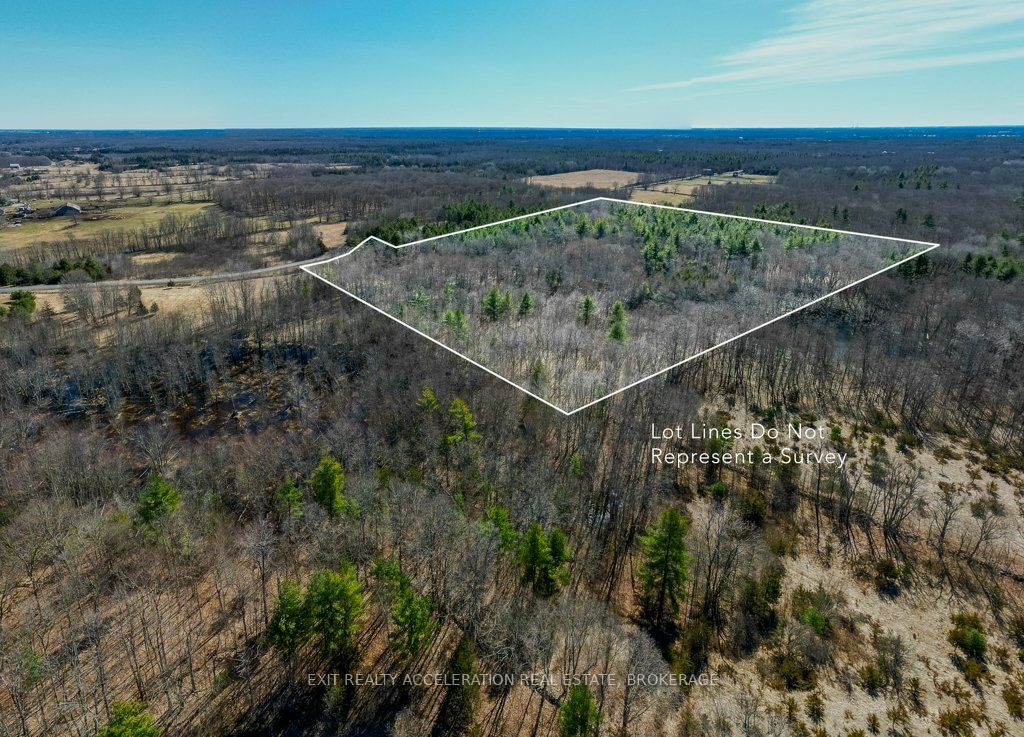 00 Con11 Pine Grove Road Property Photo 4