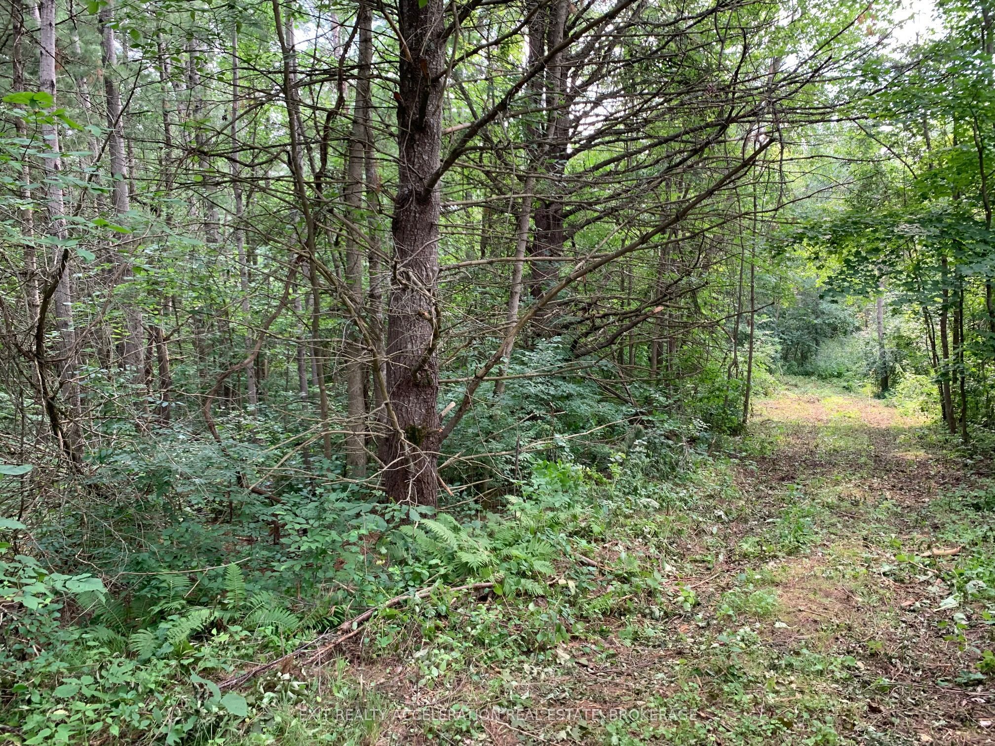 00 Con11 Pine Grove Road Property Photo 10