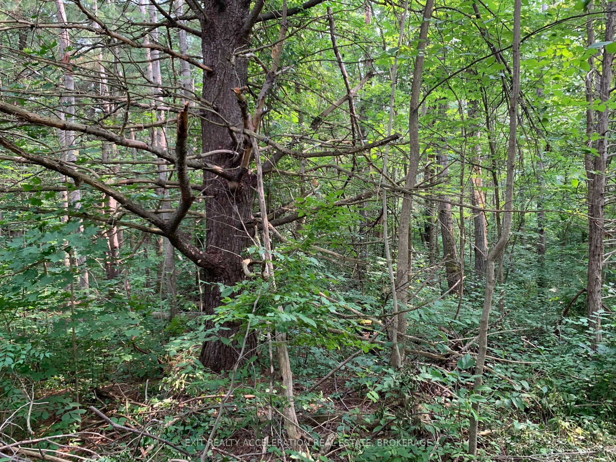 00 Con11 Pine Grove Road Property Photo 11