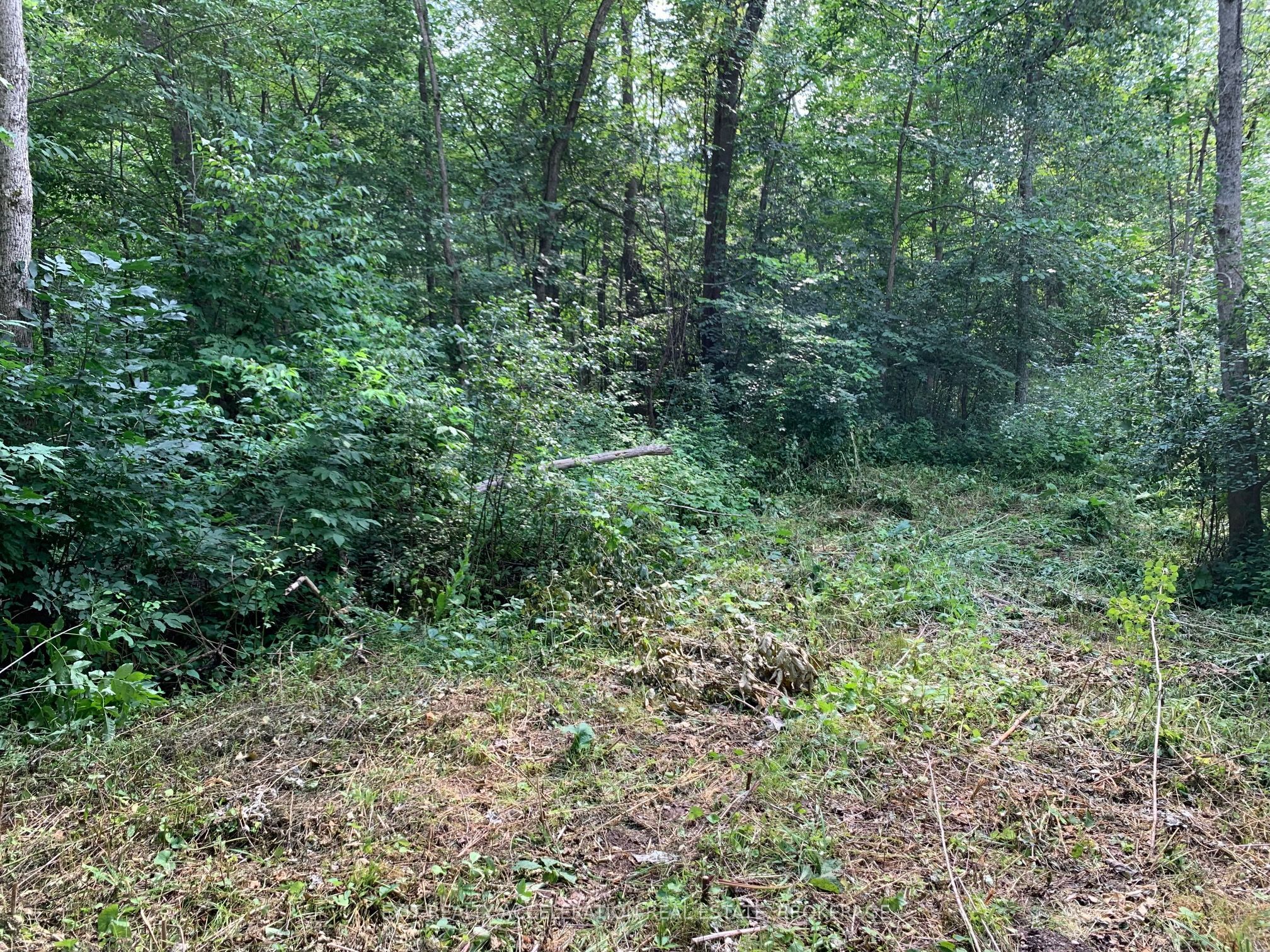 00 Con11 Pine Grove Road Property Photo 12