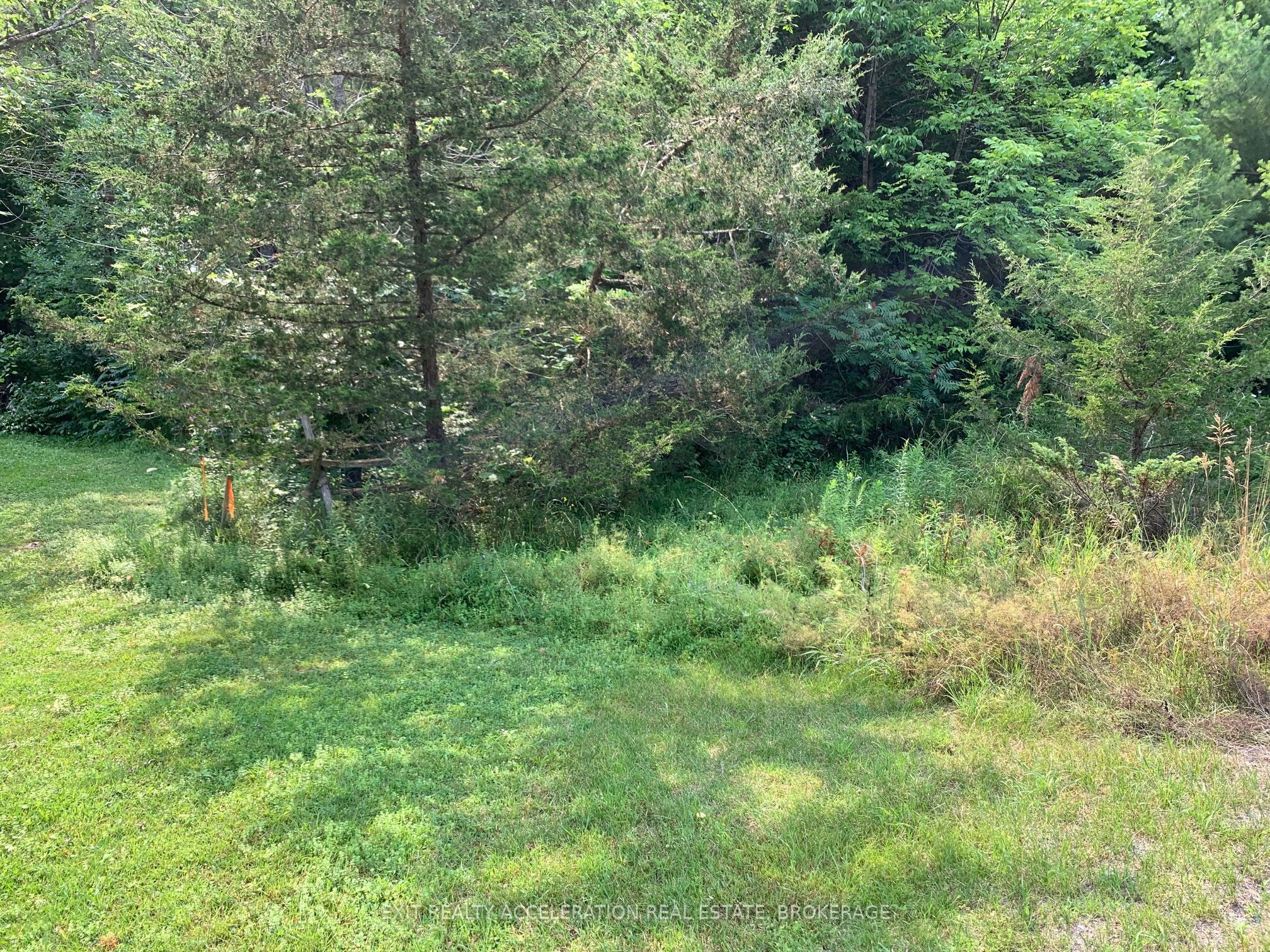 00 Con11 Pine Grove Road Property Photo 13