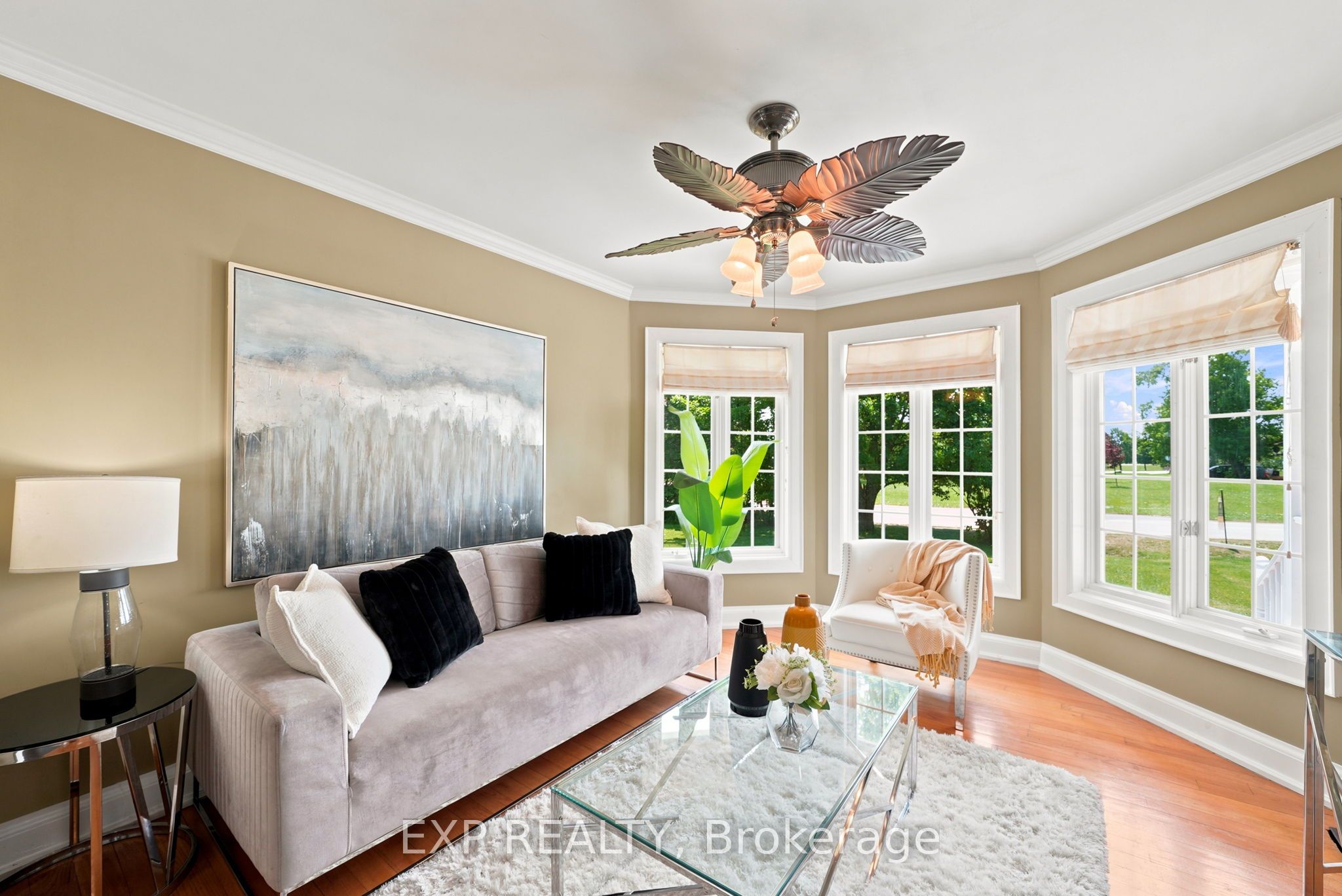 4 Flora Street Property Photo 16