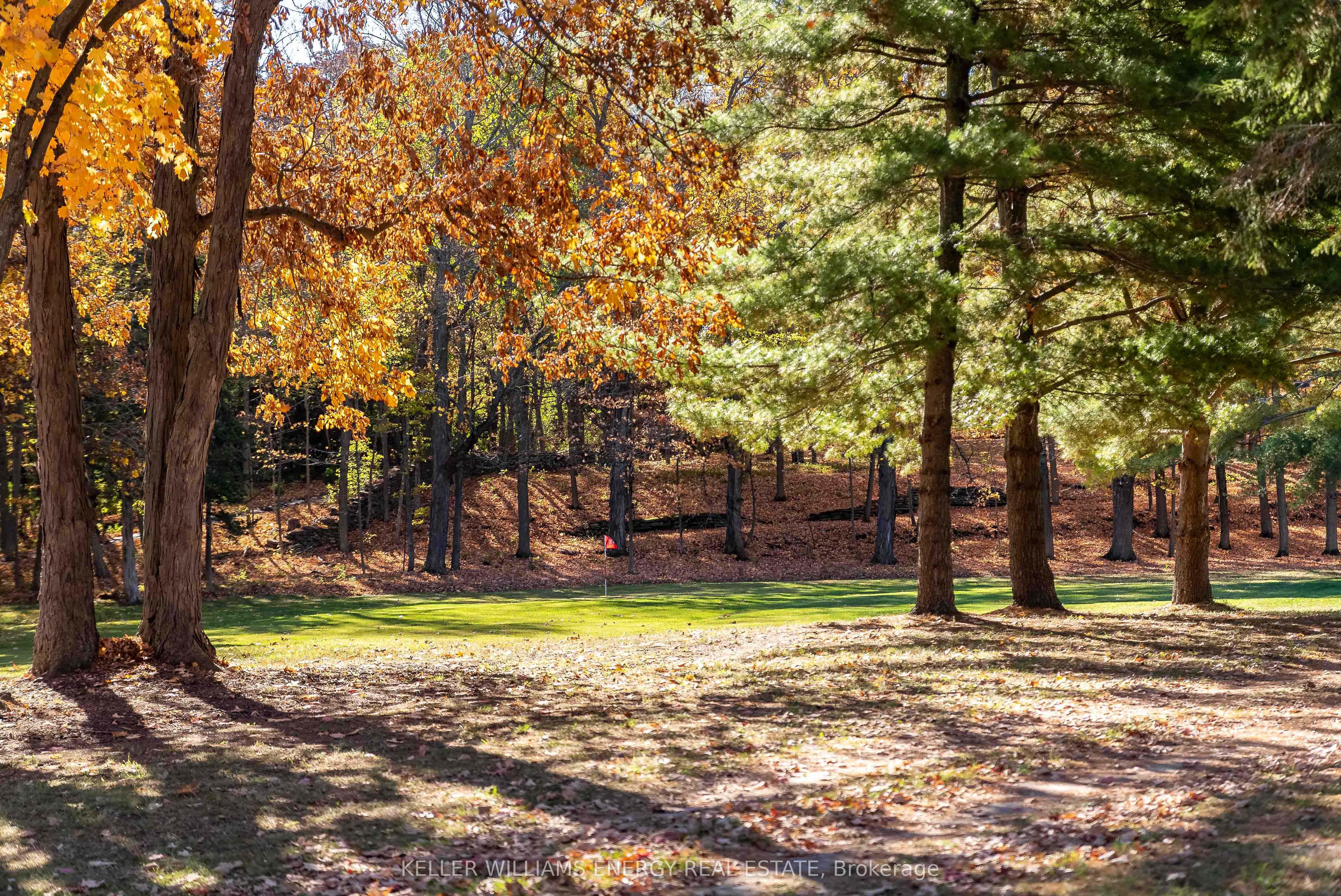 11858 Loyalist Parkway Property Photo 42