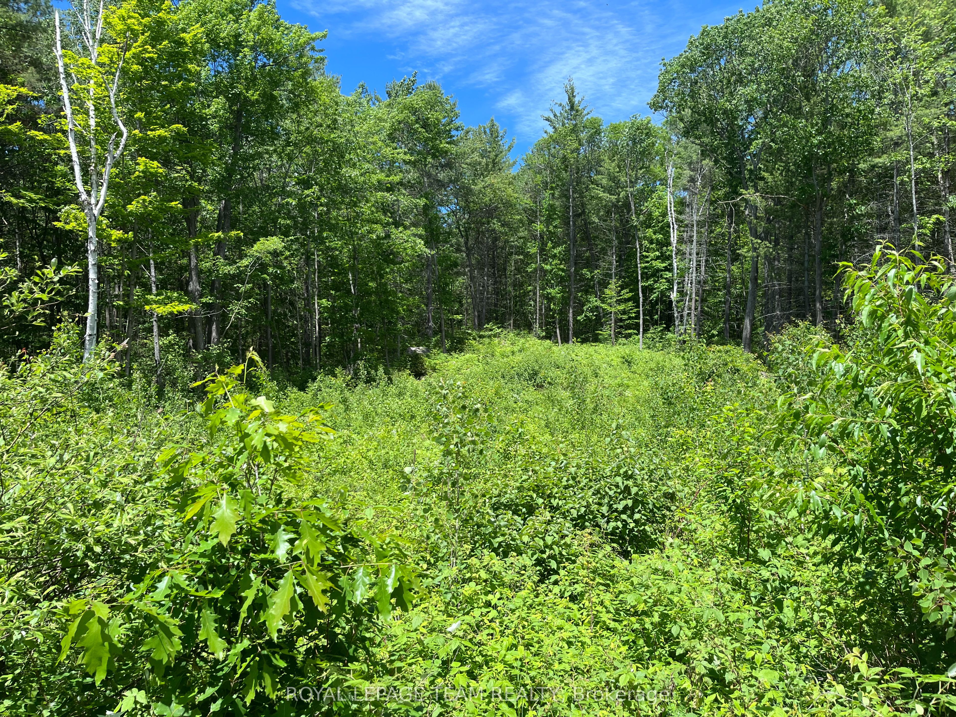 695 Long Lake Road Property Photo 3