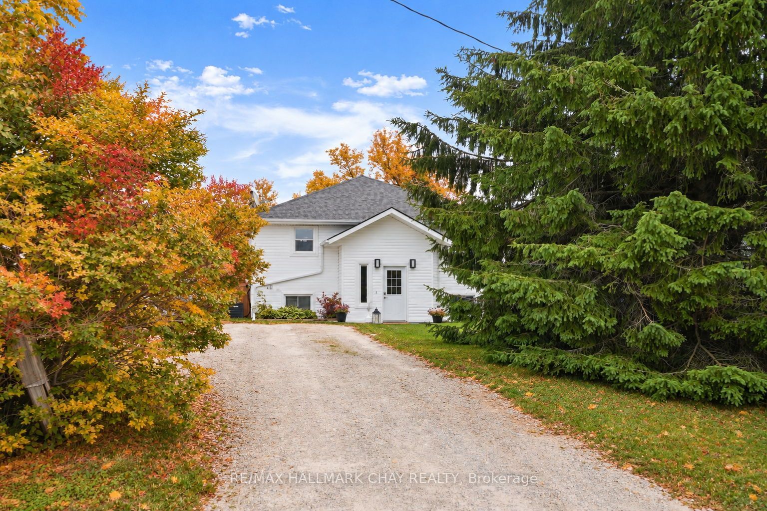 19 Addeson Street Property Photo 1