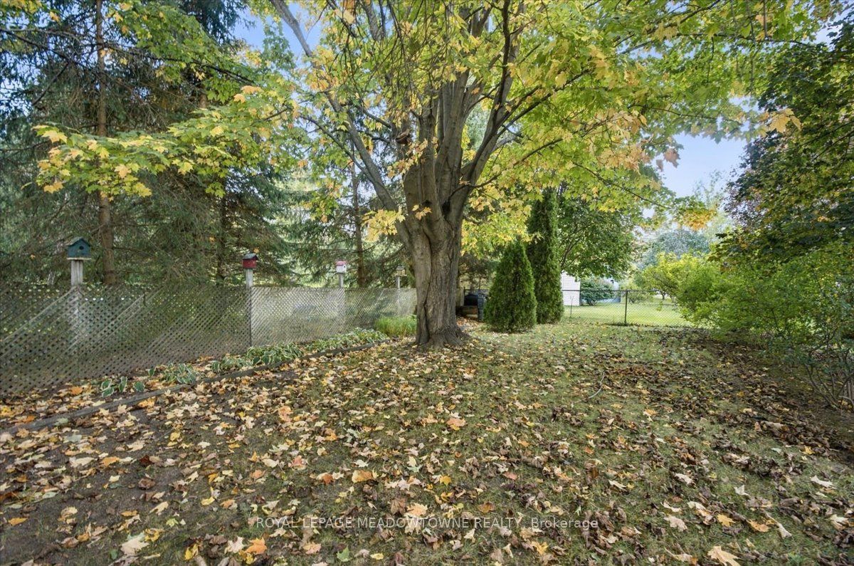 137 Orchard Drive Property Photo 29