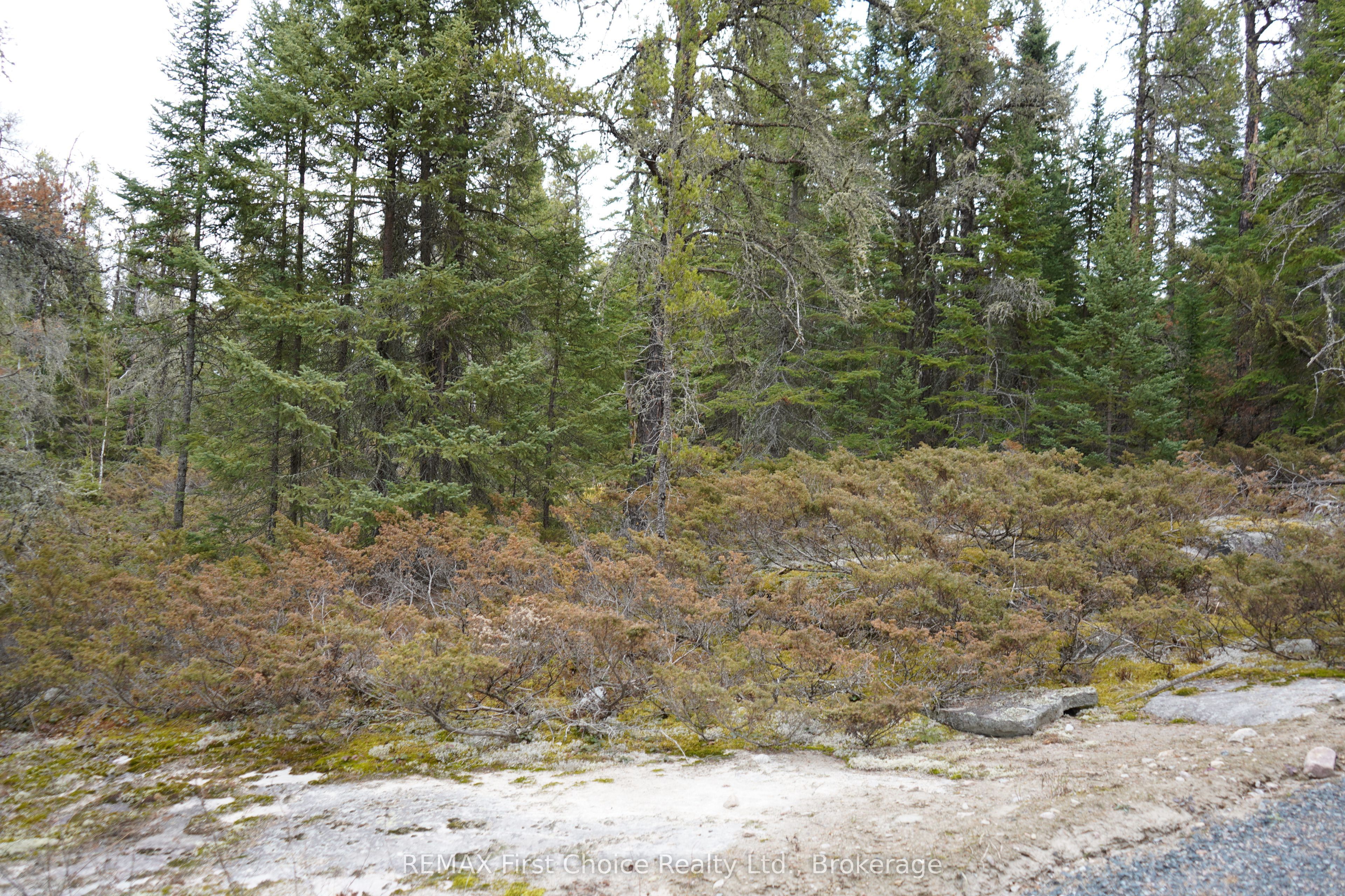 Lot 4 Gunn Lake Road Property Photo 32