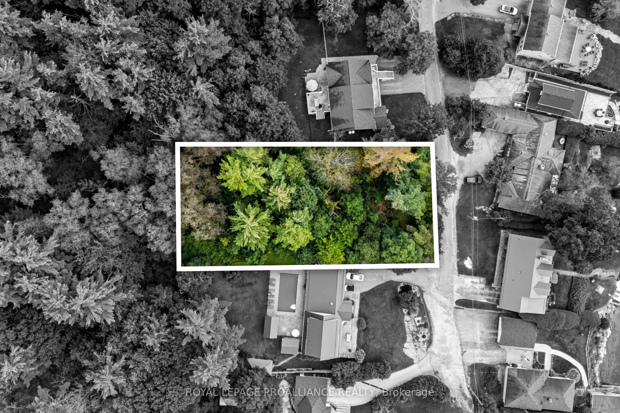 00 Jowsey Mclean Road Property Photo 2