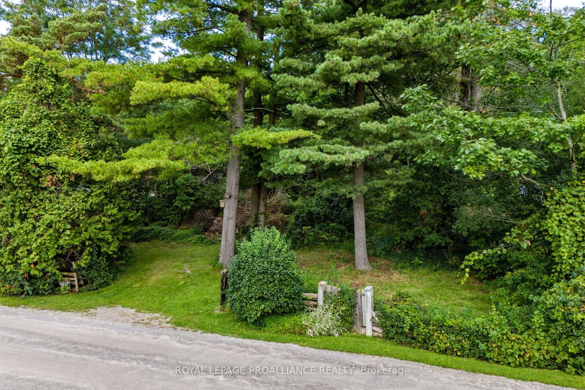 00 Jowsey Mclean Road Property Photo 13