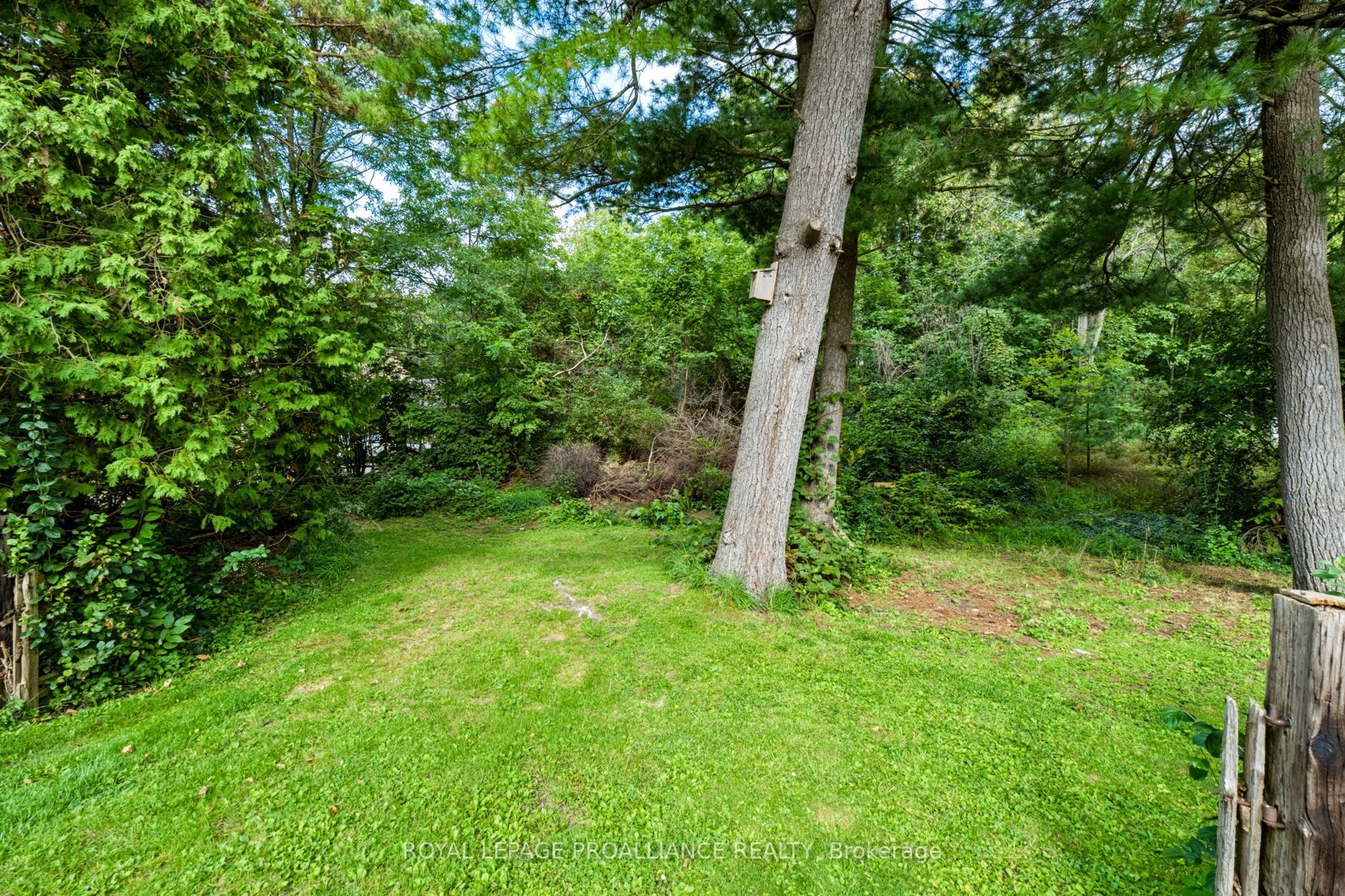 00 Jowsey Mclean Road Property Photo 14