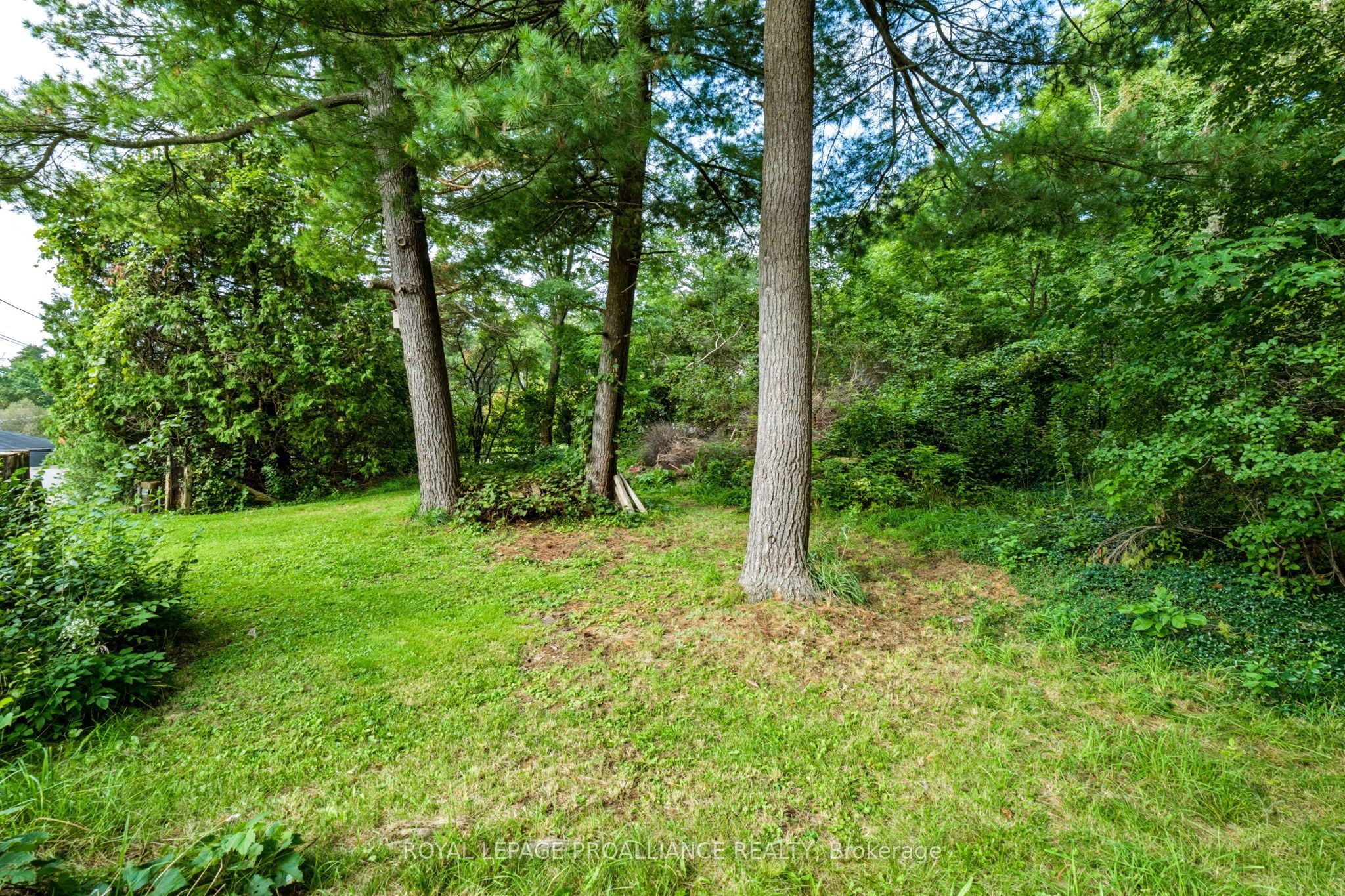 00 Jowsey Mclean Road Property Photo 15