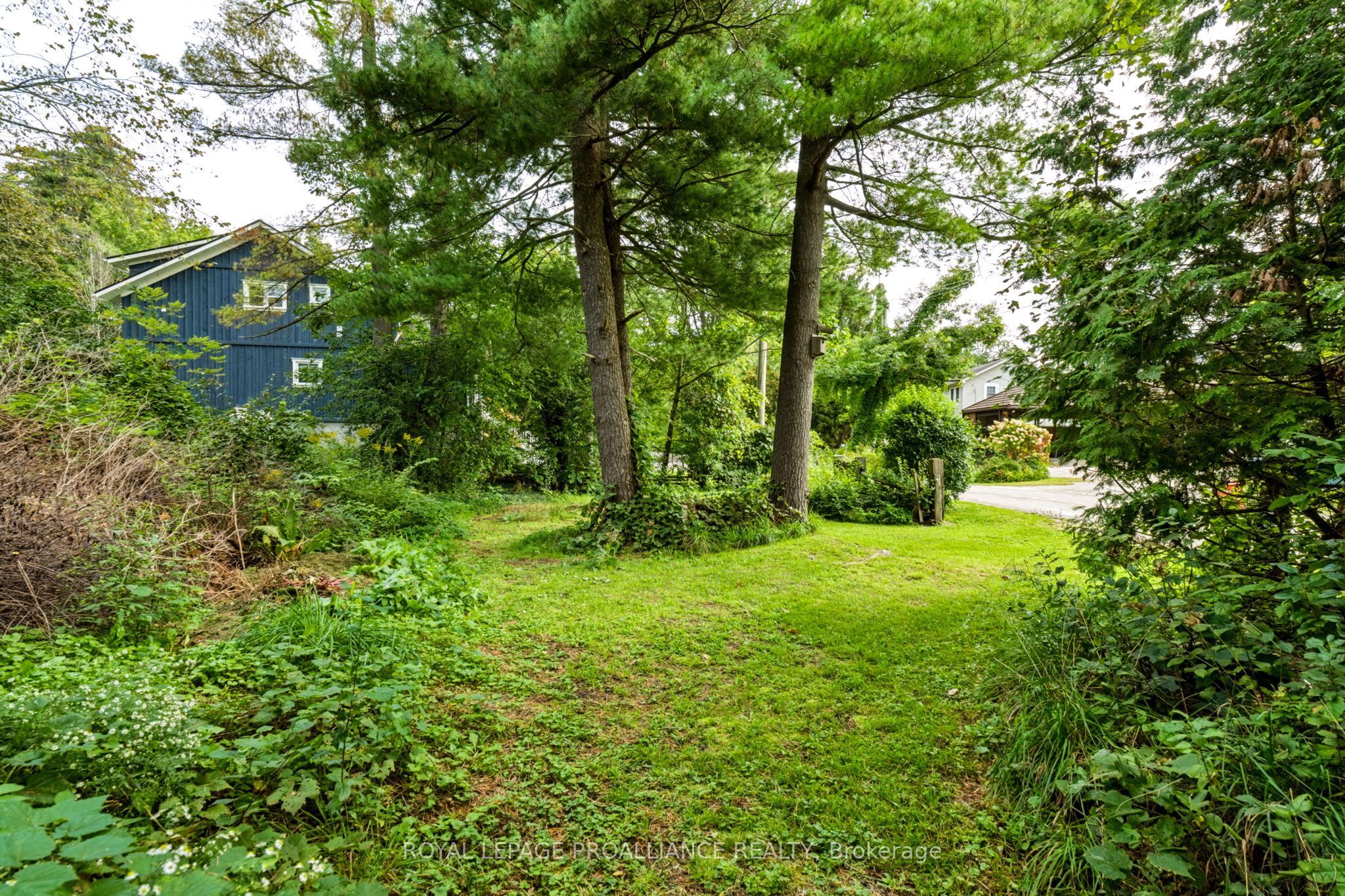00 Jowsey Mclean Road Property Photo 16