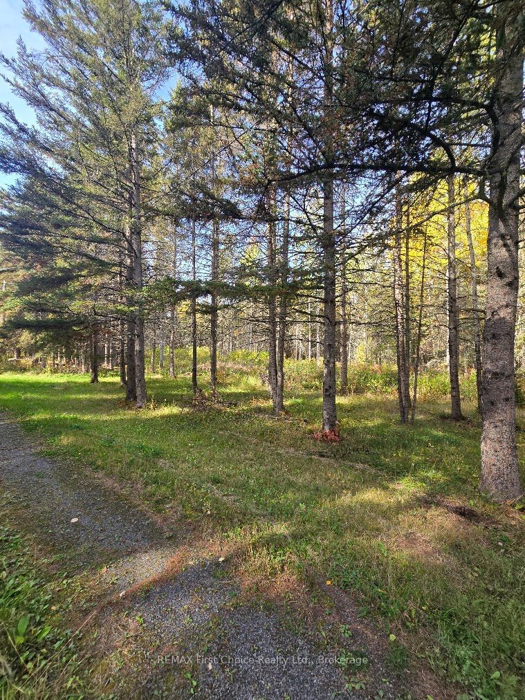 928 595 Highway Property Photo 2