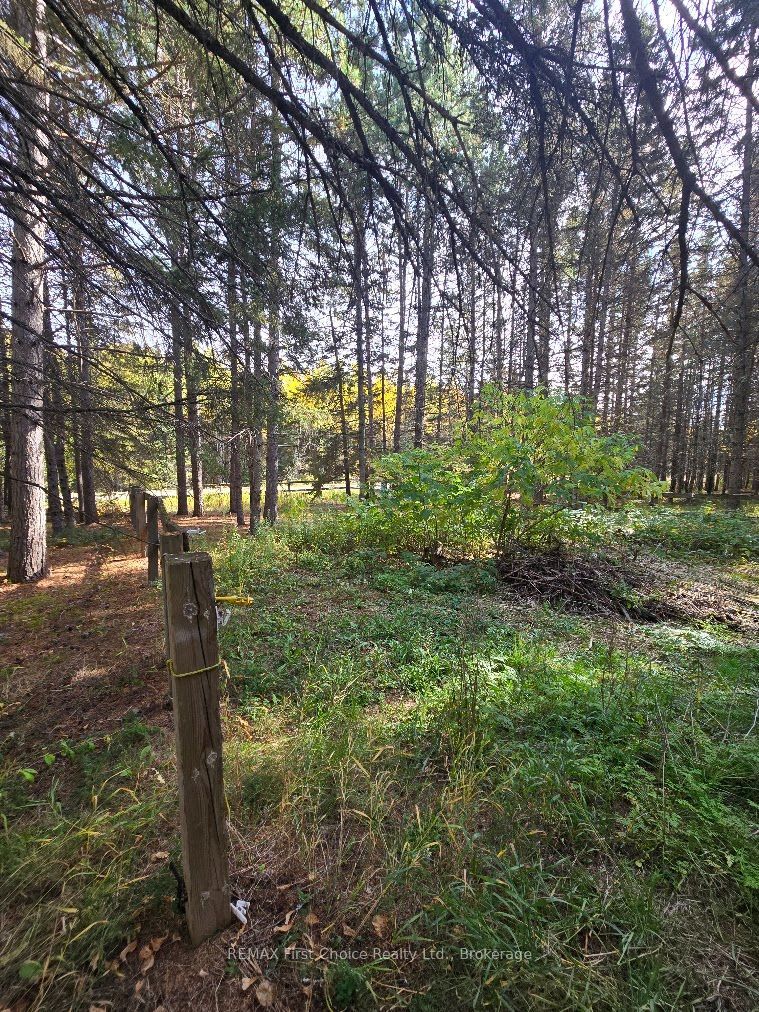 928 595 Highway Property Photo 6