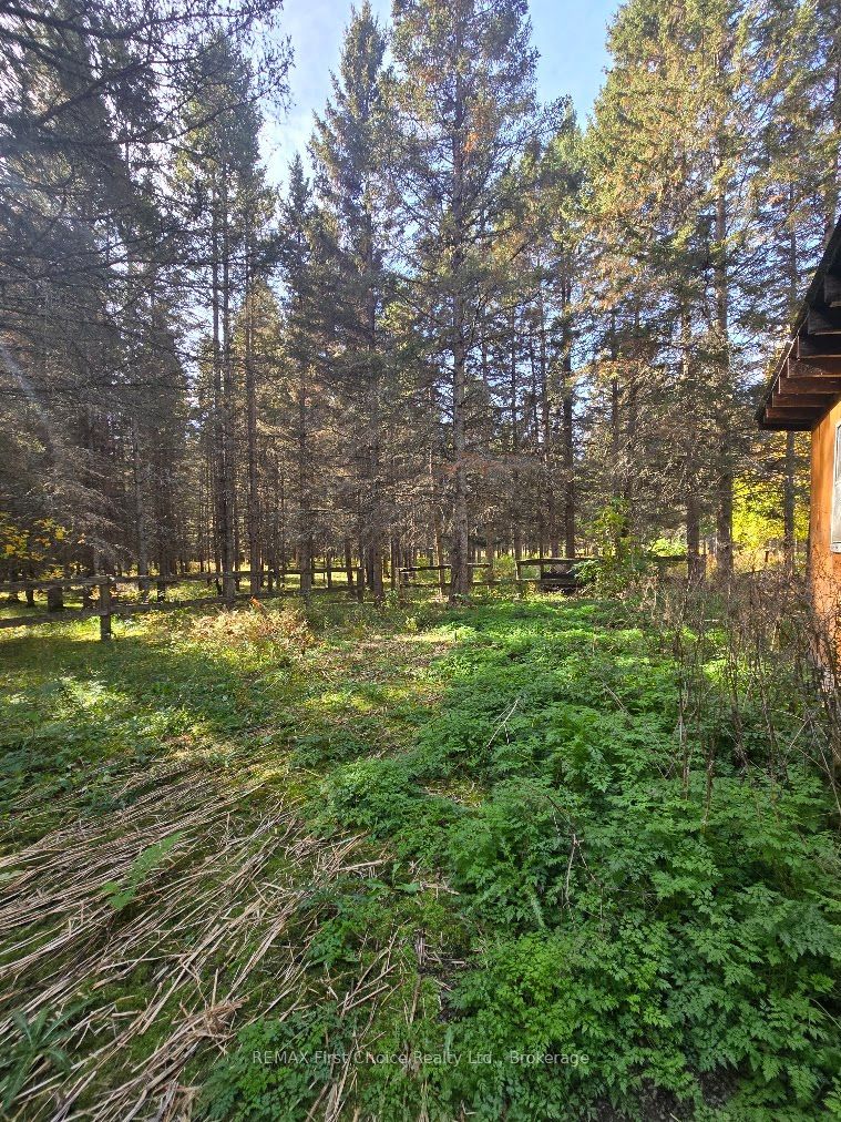 928 595 Highway Property Photo 8