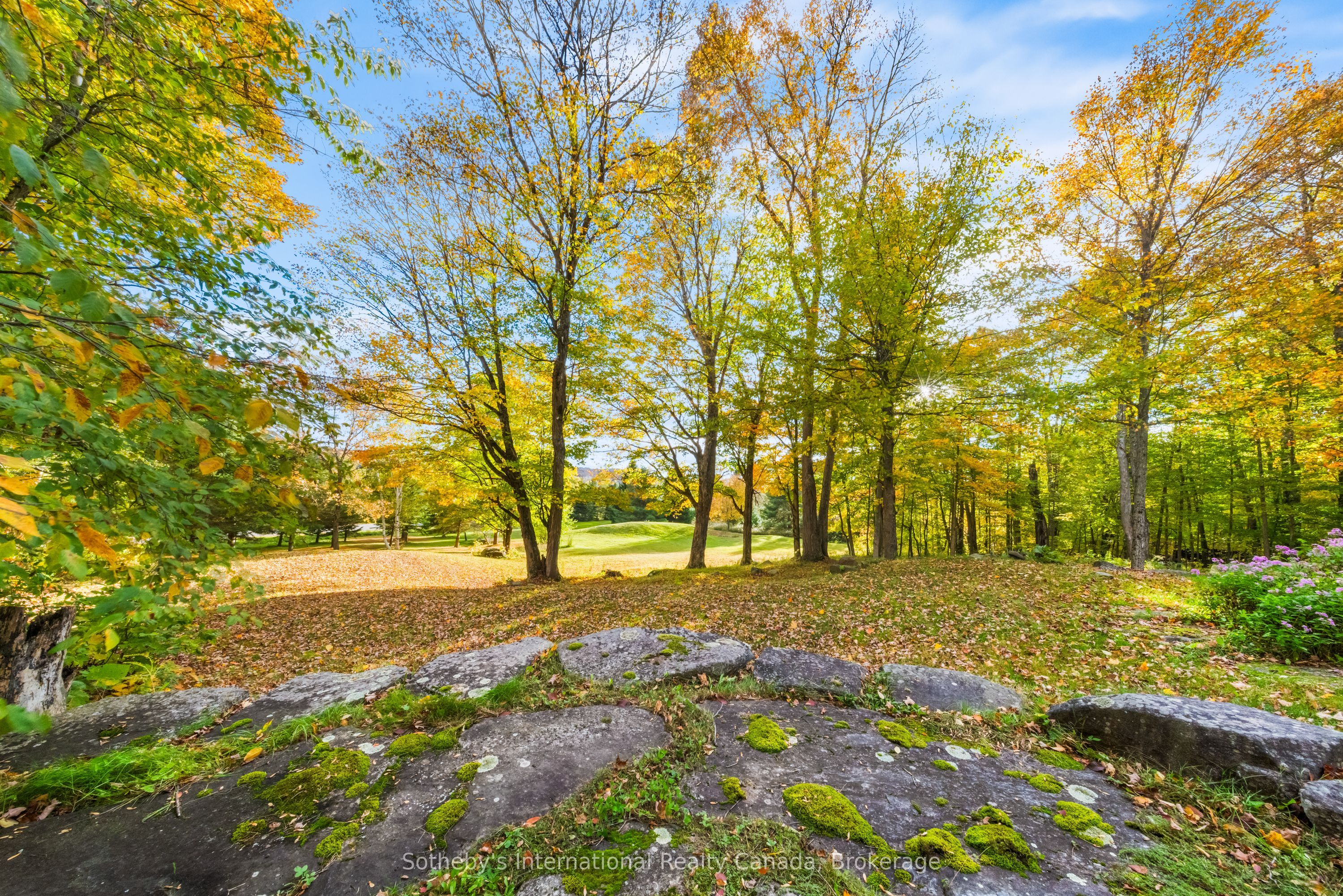 1259 Golf Course Road Property Photo 8