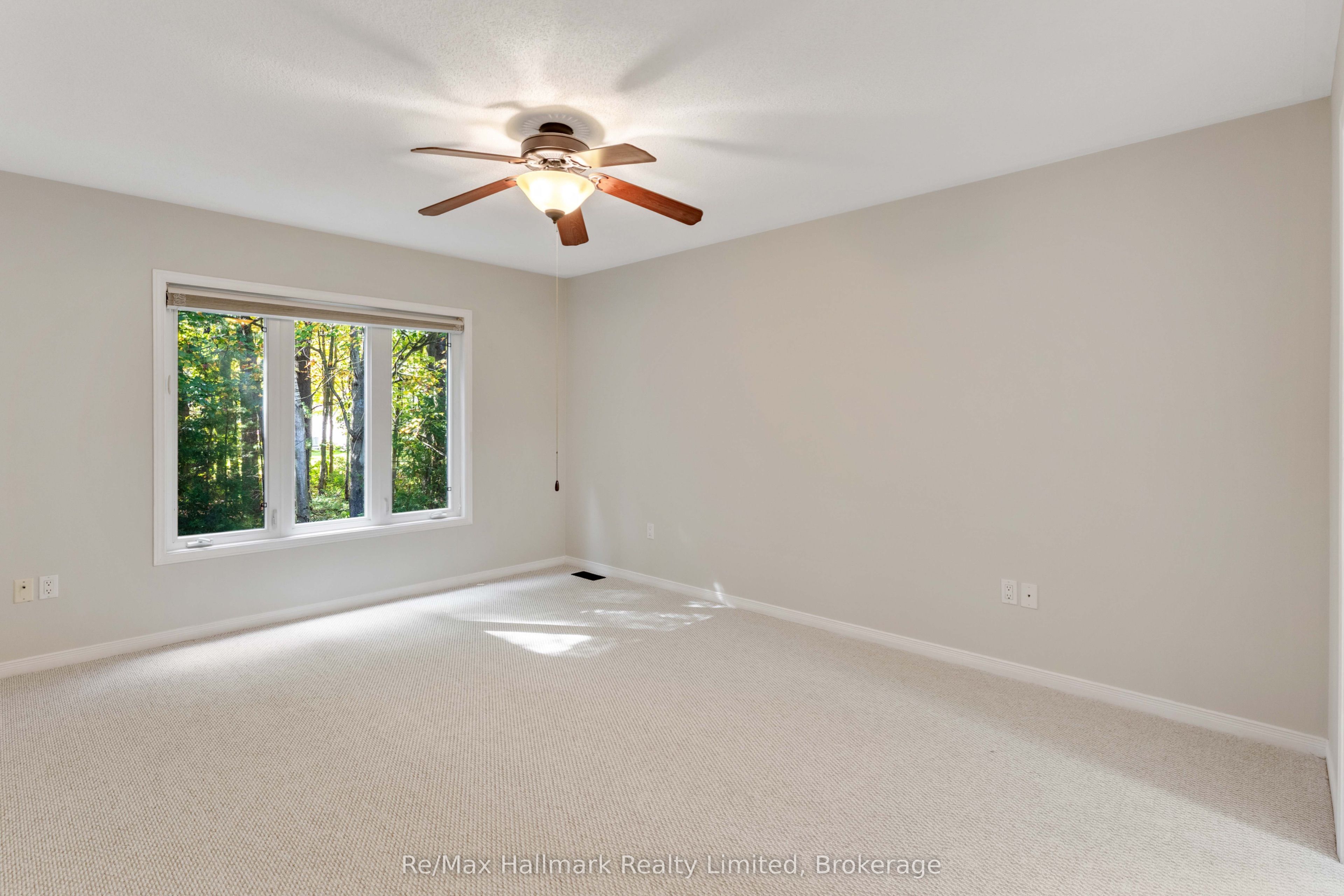 3 Woods Hollow Property Photo 22