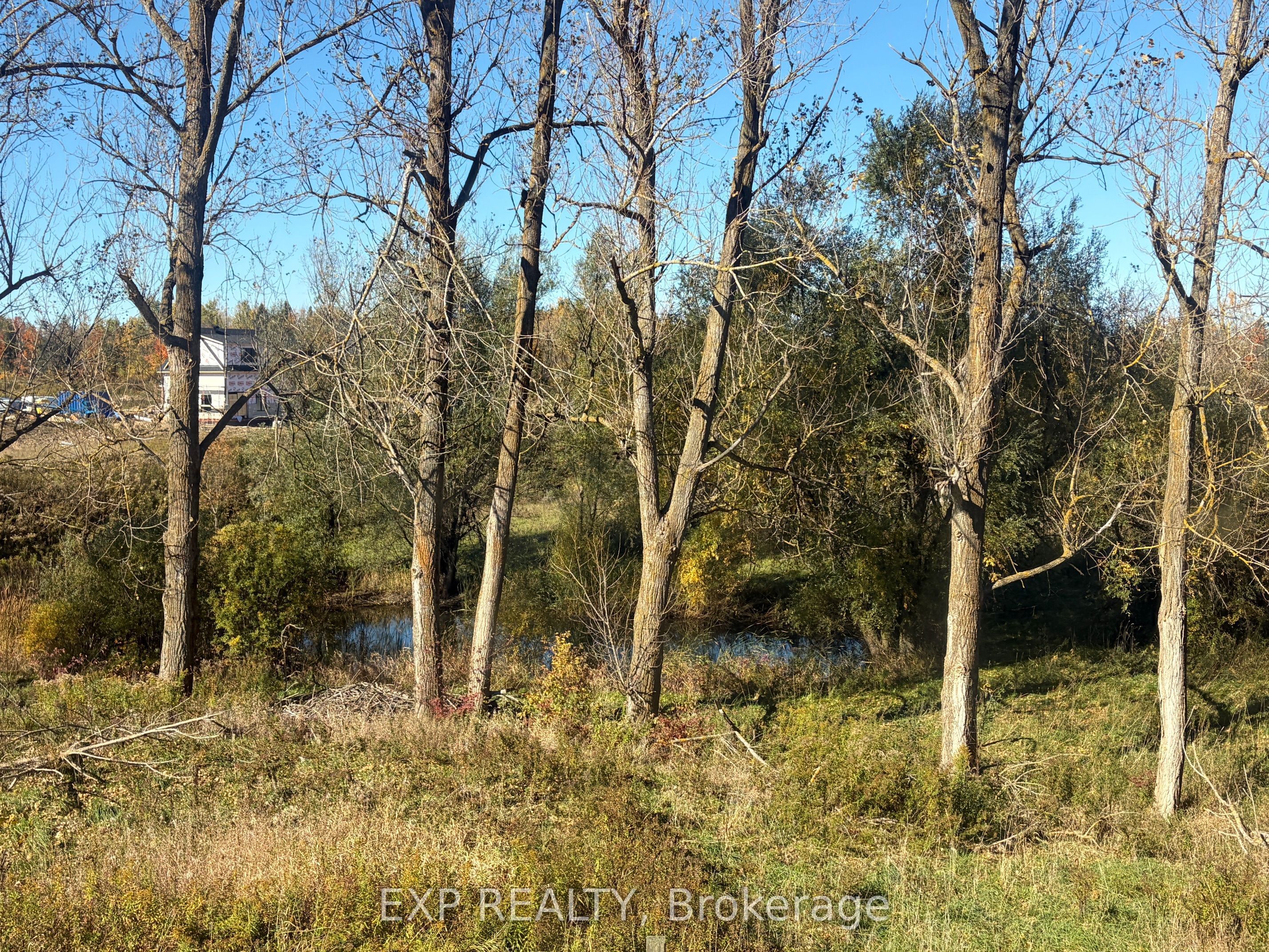485525 30th Side Road S Property Photo 38