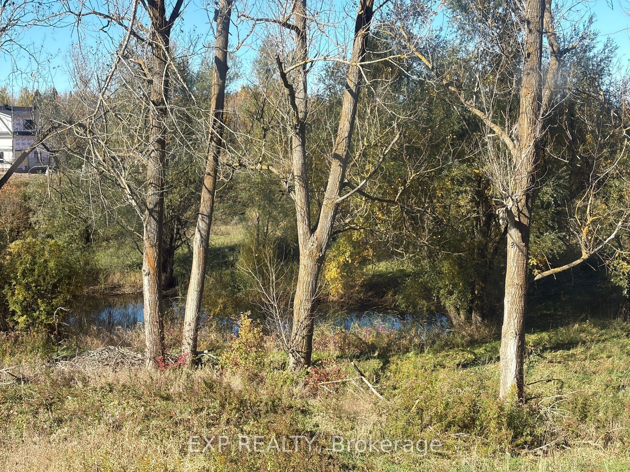 485525 30th Side Road S Property Photo 39