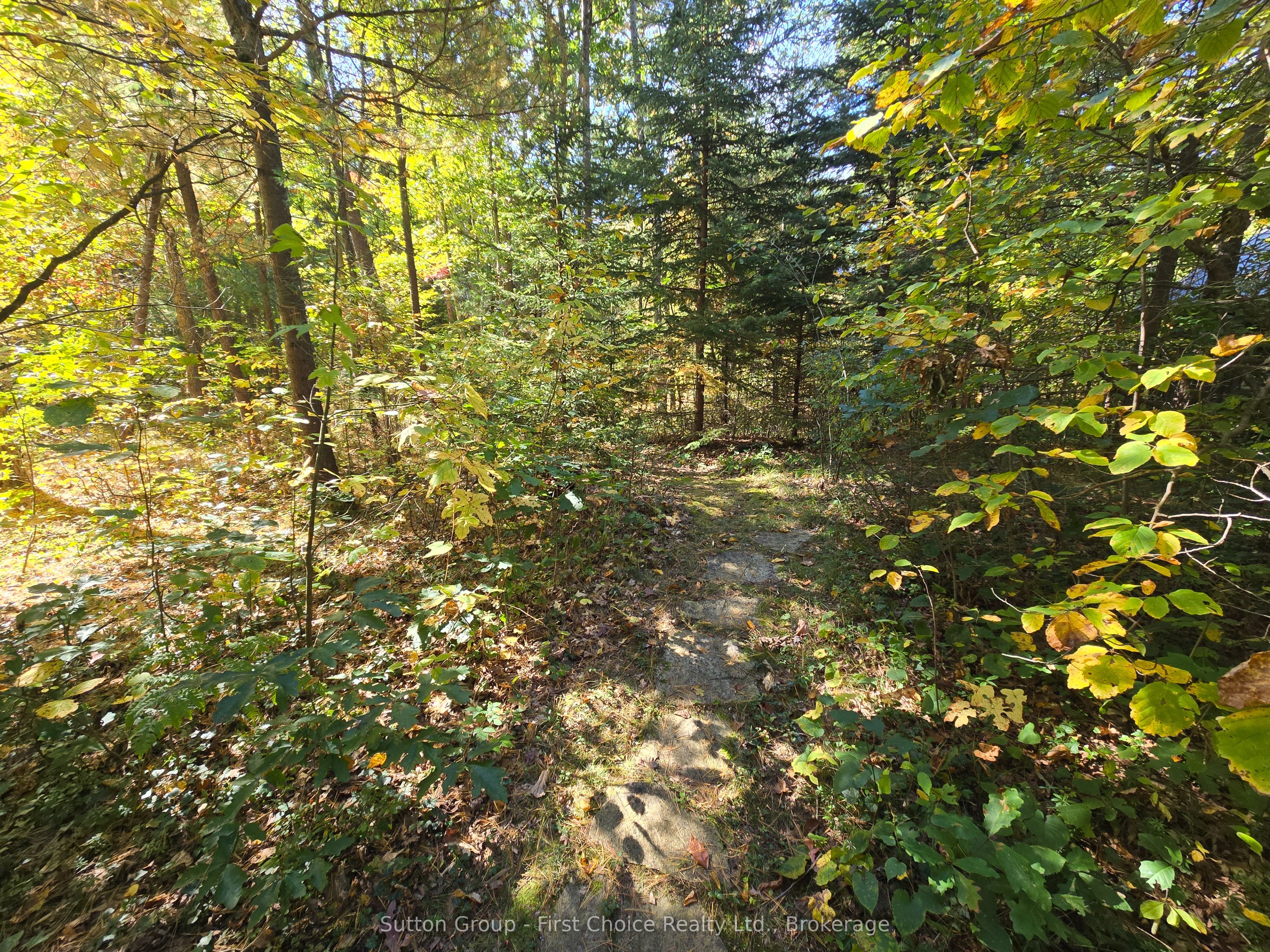 10010 The Trail Property Photo 42