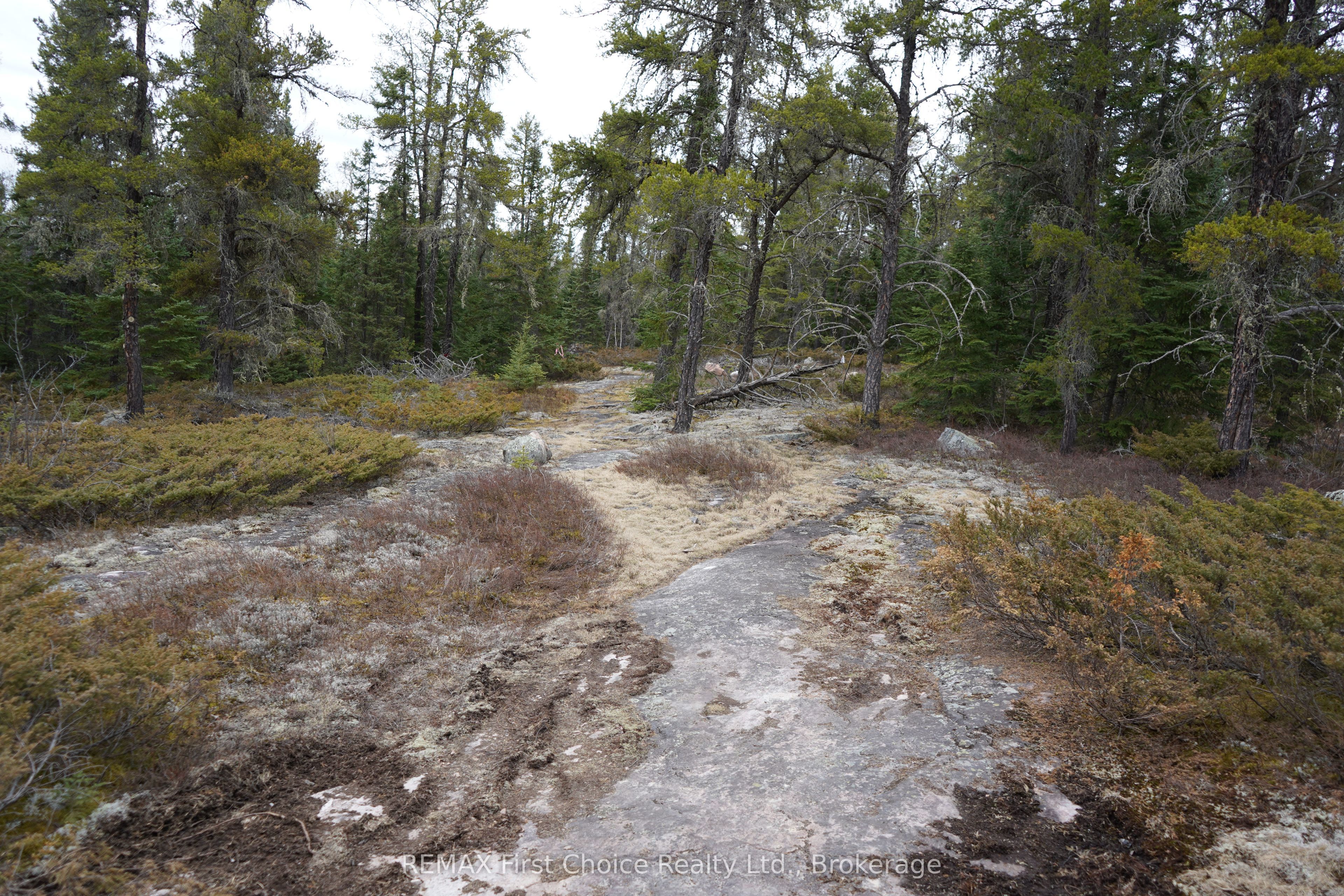 Lot 7 Gunn Lake Road Property Photo 25