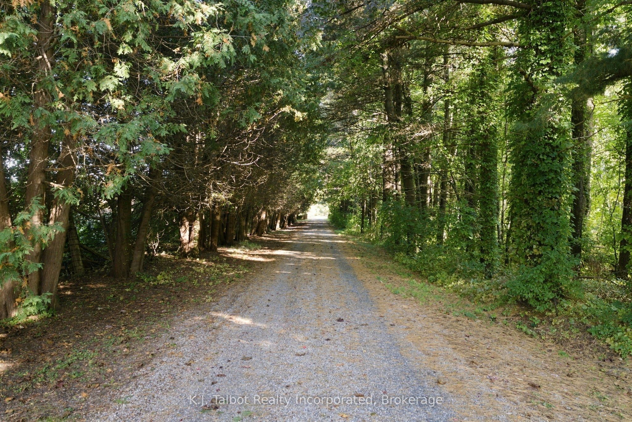 34875 Union Road Property Photo 4