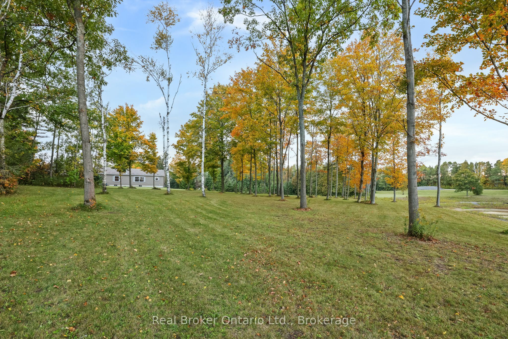 502 Pontypool Road Property Photo 41