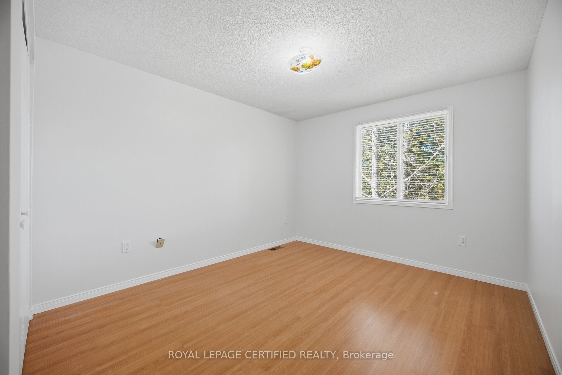 37 Rodgers Road Property Photo 24
