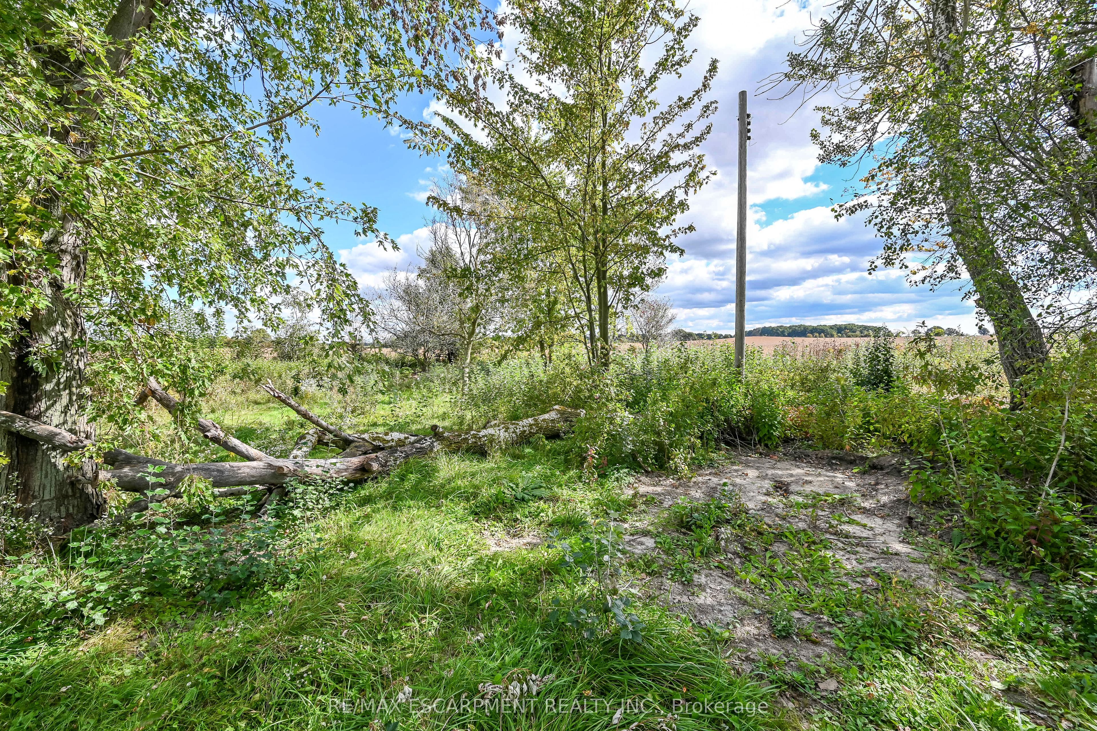 172 Tyneside Road Property Photo 16