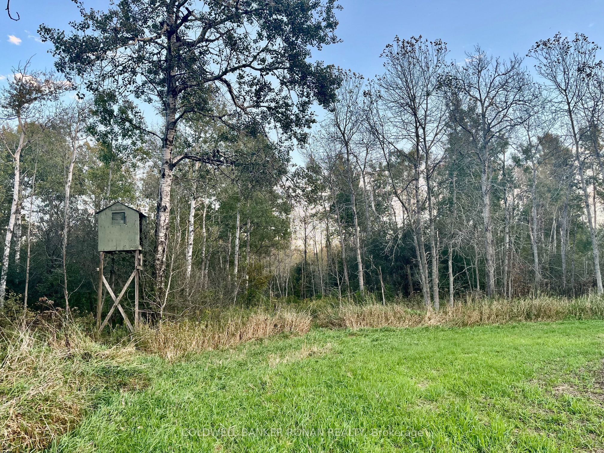 345198 15 Side Road Property Photo 4
