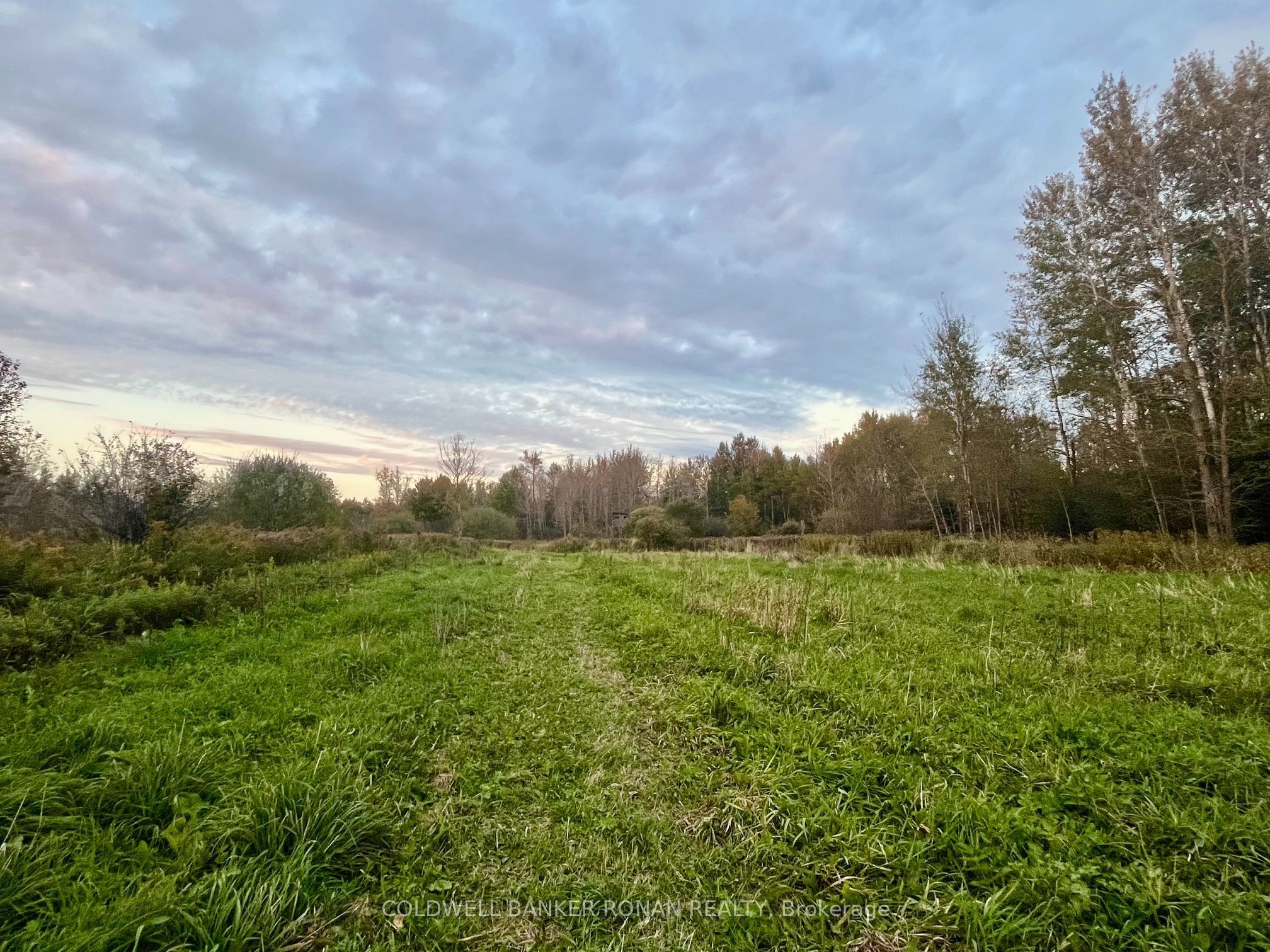 345198 15 Side Road Property Photo 8