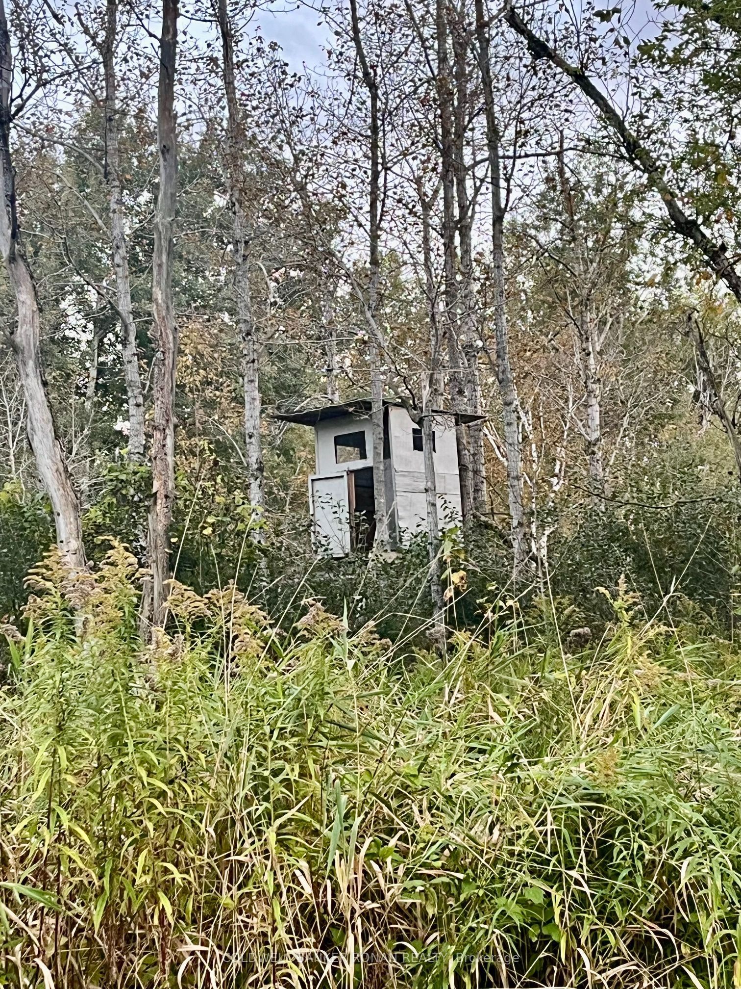 345198 15 Side Road Property Photo 11