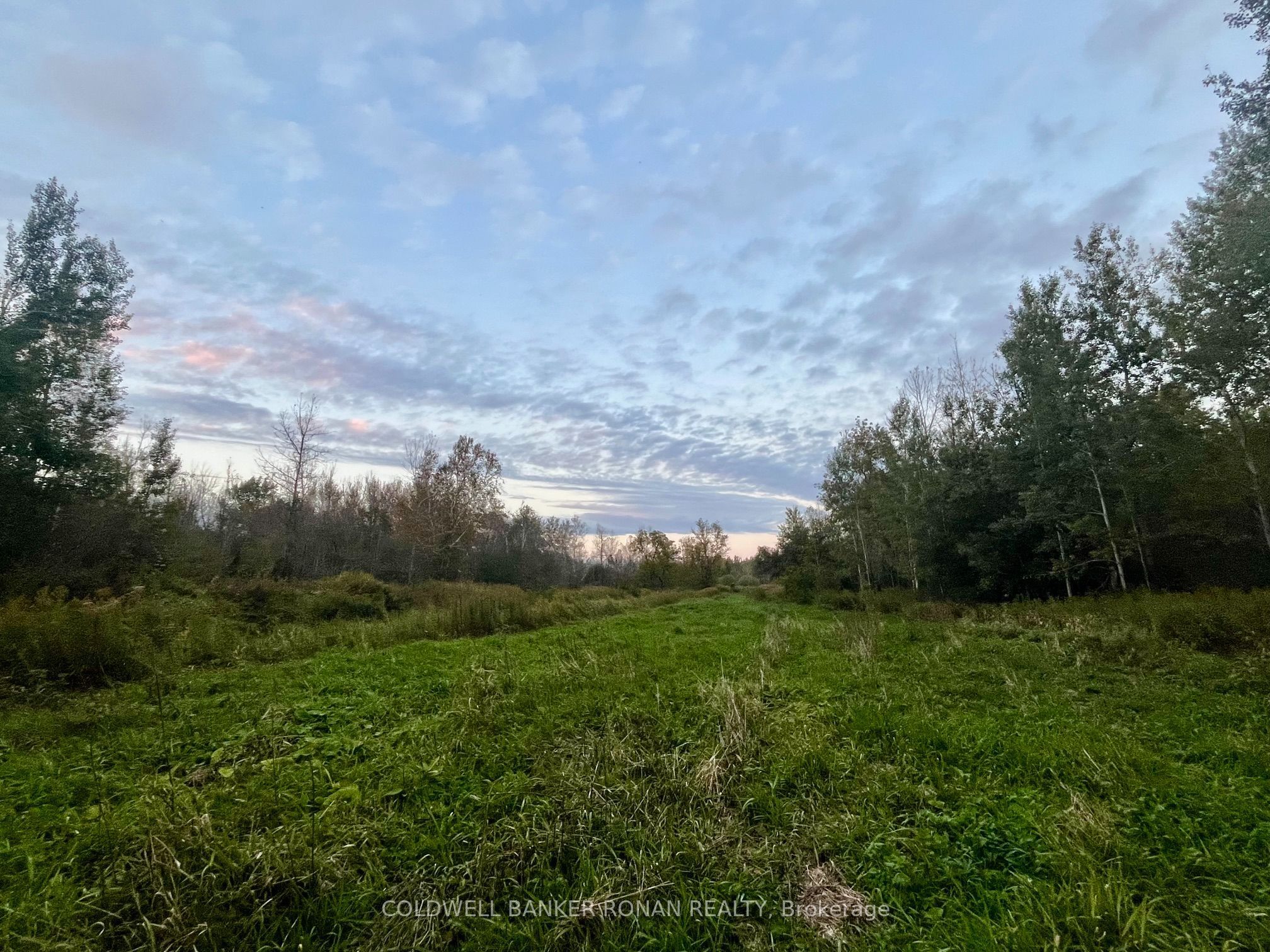 345198 15 Side Road Property Photo 12