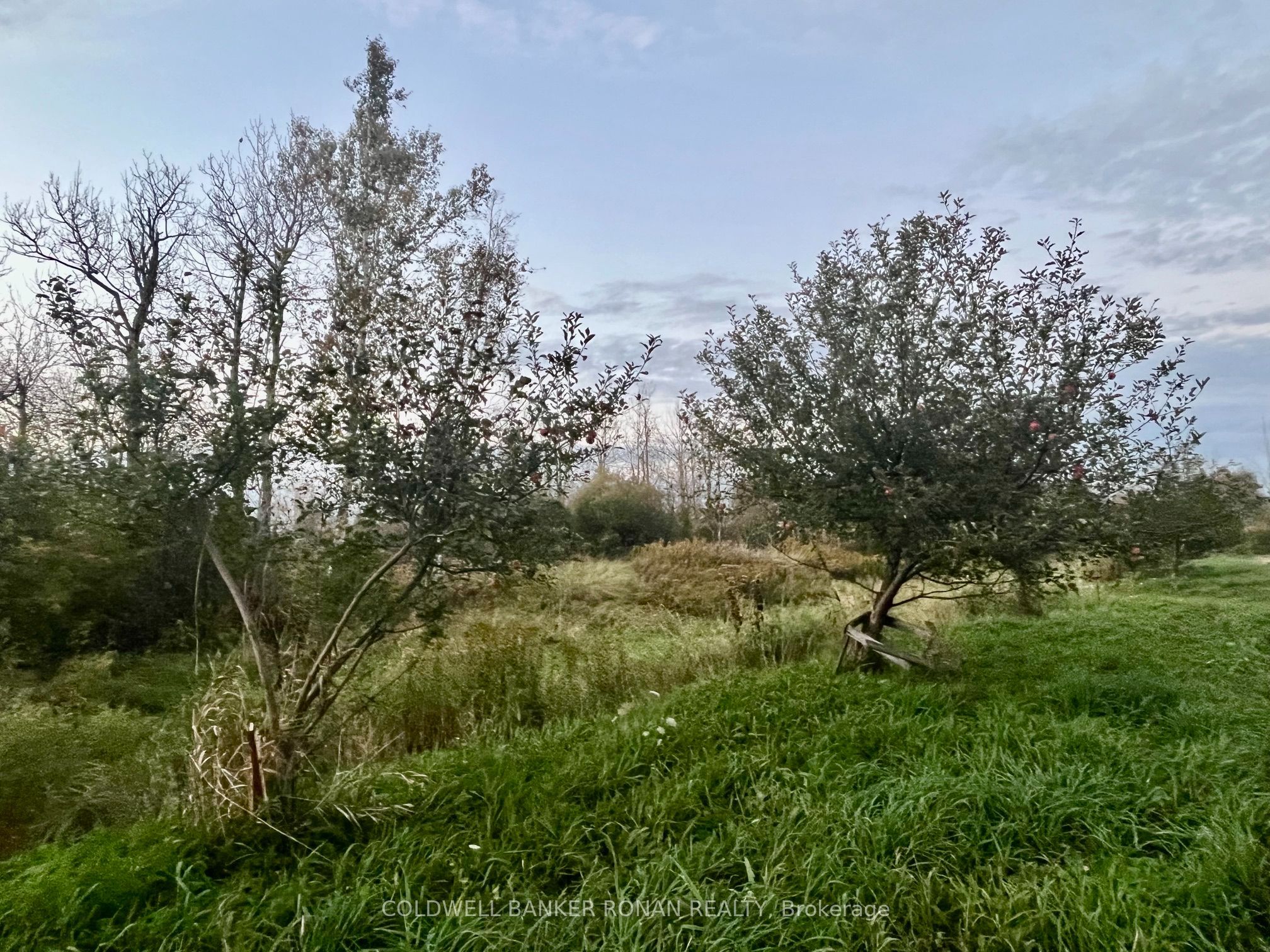 345198 15 Side Road Property Photo 13