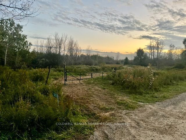 345198 15 Side Road Property Photo 21